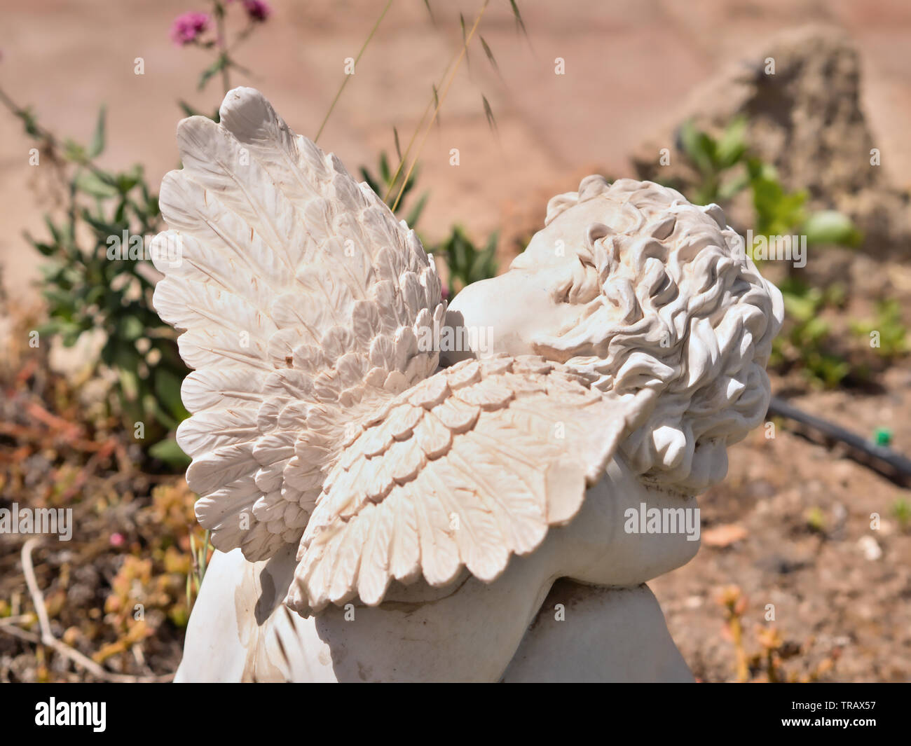 Ein Engel im Garten zwischen den Blumen mit dem Rücken und den Flügeln an den Fotografen sitzend, aus weißem Stein, Arme auf seine Knie, Kopf gedreht Stockfoto