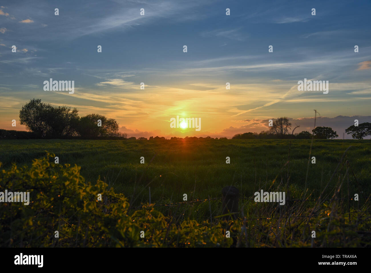 Sonnenuntergang über den Feldern Stockfoto