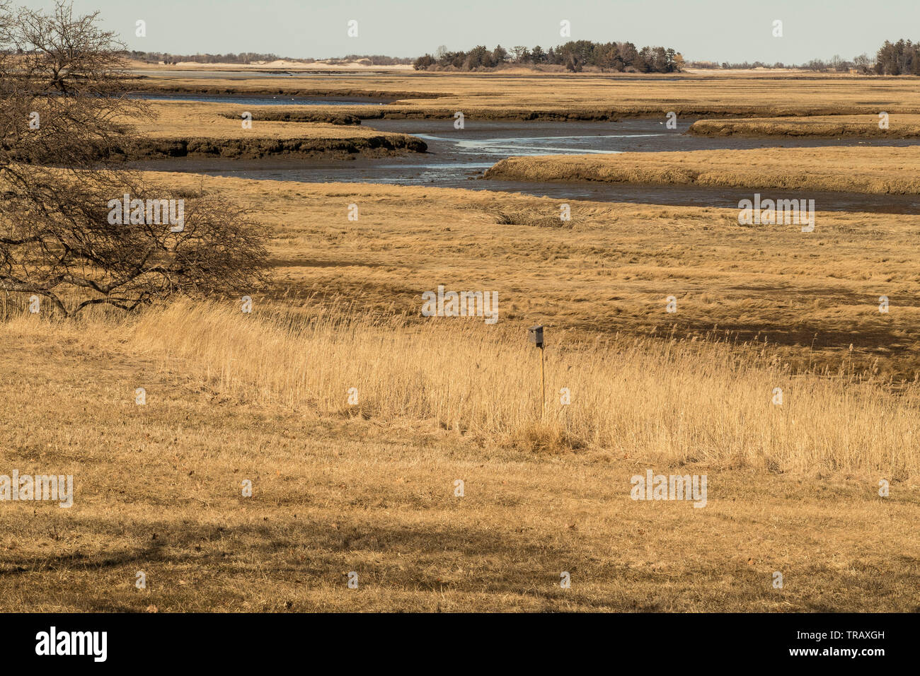 Die Greenbelt Land Trust begann 1961 als gemeinnützige Open Space von Essex County zu bewahren. Grundbesitzer gelernt, wie Eco Systemen zu sichern, fördern Stockfoto