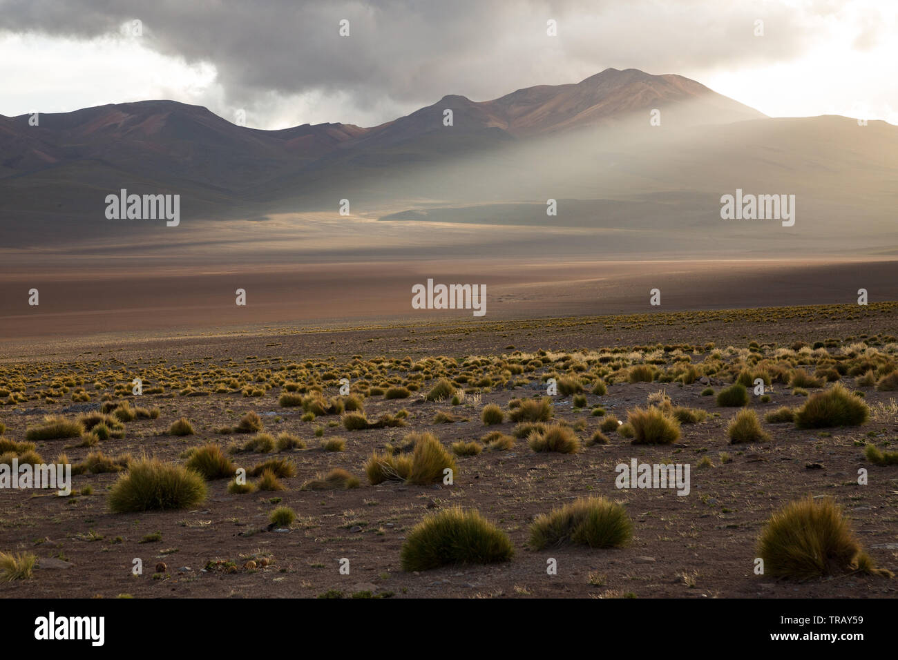 Dramatische Licht auf Berge im bolivianischen Altiplano. Stockfoto