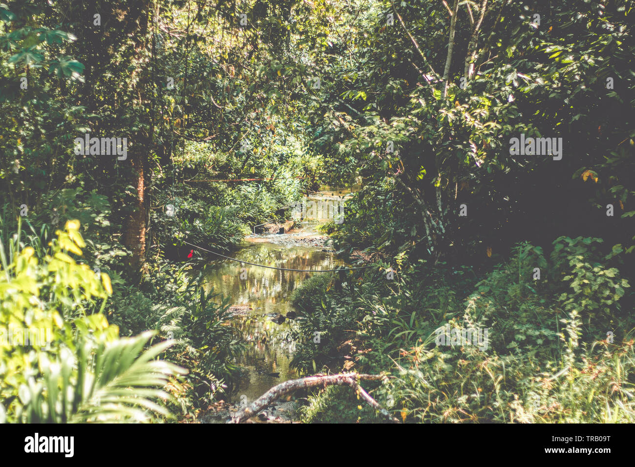 Brücke über einen Bach Fluss Stockfoto