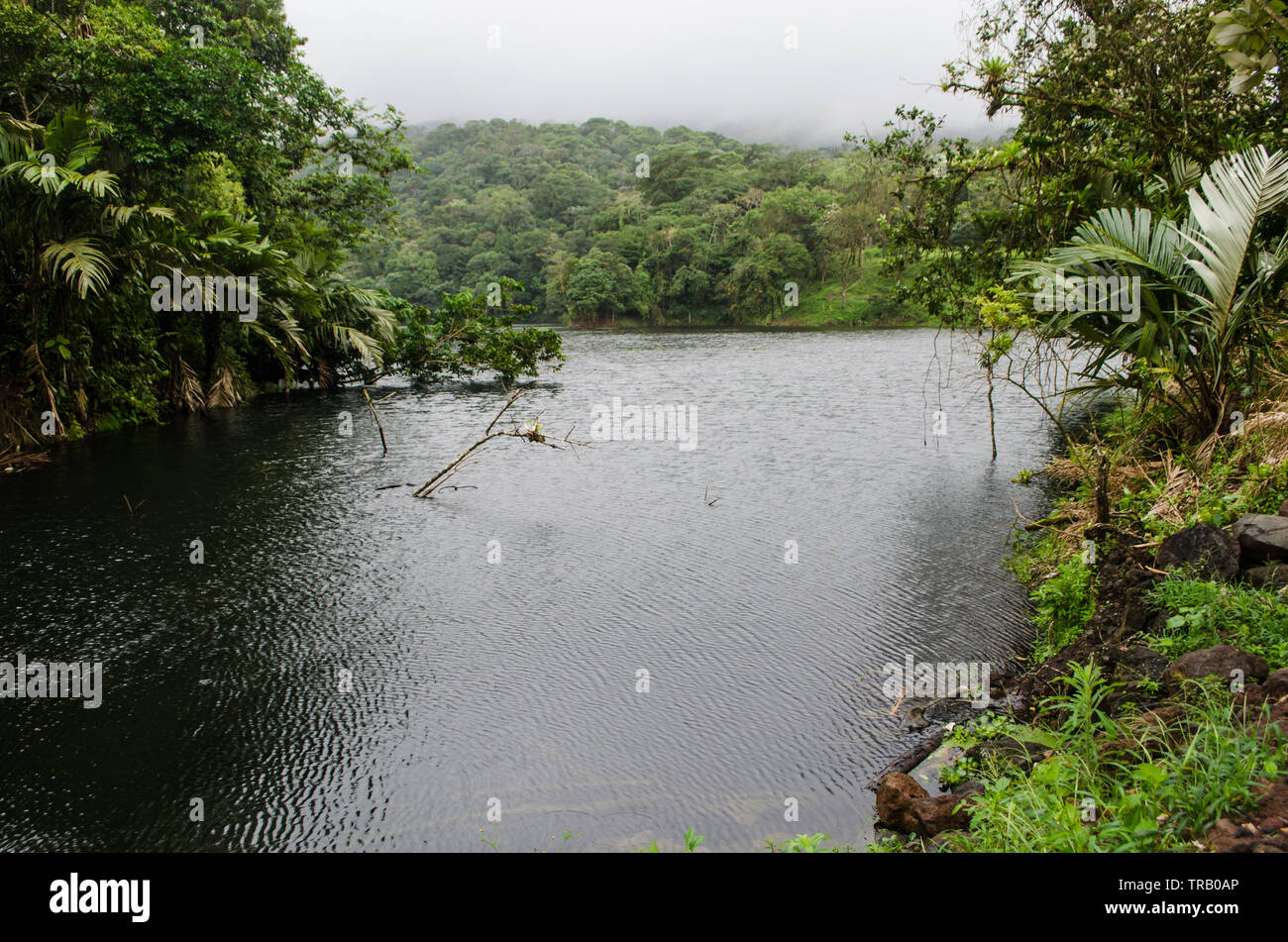 Kleiner See in den Vulkan Arenal Stockfoto