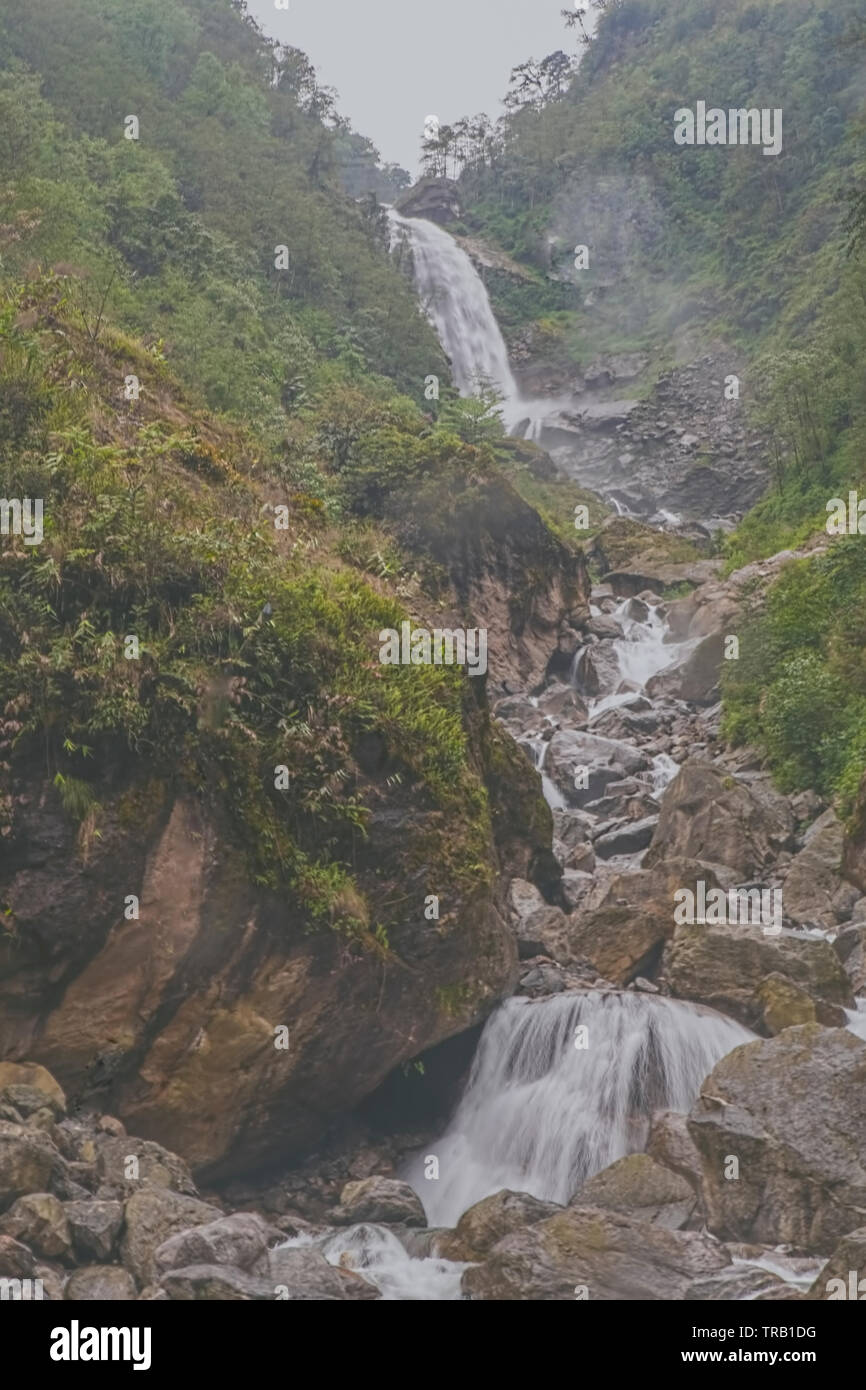 Naga, Wasserfälle, steile, Niedergang, in der großen, Geschwindigkeit, durch, tiefen Wald, Felsen, Natur, Landschaft, Nord Sikkim, Indien. Stockfoto