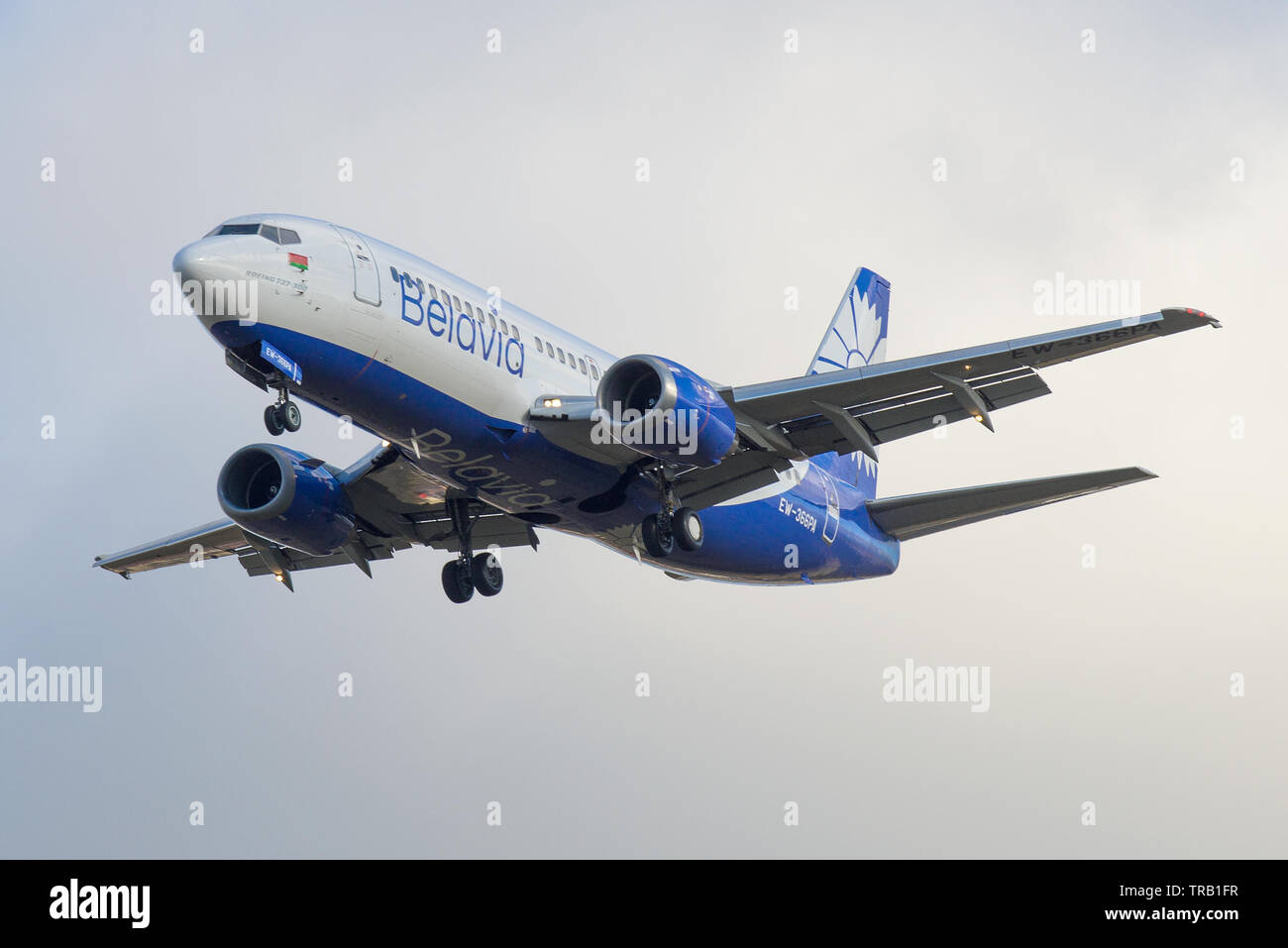 Russland, SANKT PETERSBURG - Oktober 25, 2018: Flugzeug Boeing 737-300 (EW-366-PA) von Belavia Airlines schließen in einem bewölkten Himmel Stockfoto