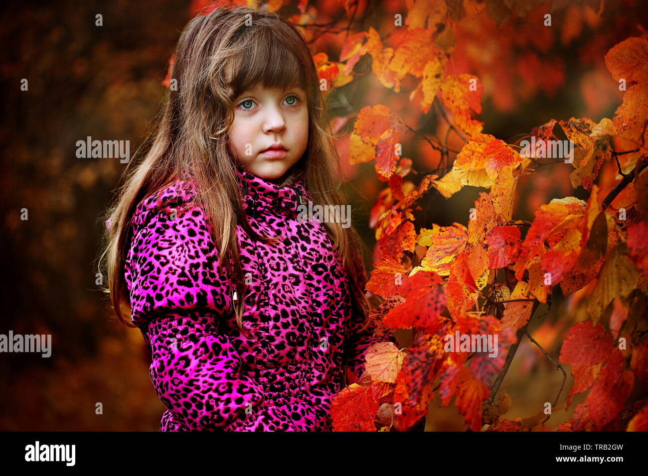 Kleines Mädchen geht im Herbst Park Stockfoto
