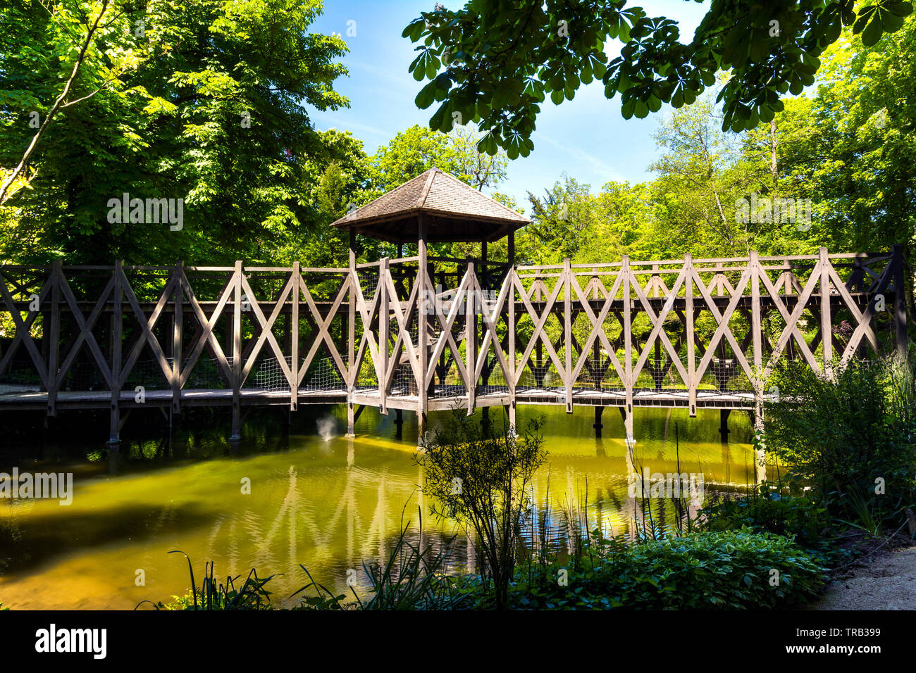 Repliken von Leonardo da Vincis Erfindungen, Clos Luce, Amboise, Indre-et-Loire Departement, Center-Val de Loire, Frankreich Stockfoto