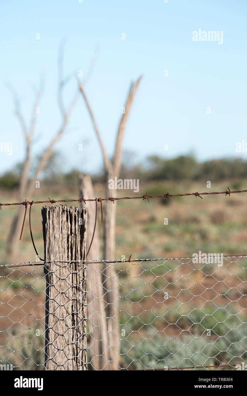 Eine alte Australische hartholz Zaunpfosten unterstützt noch ein Stacheldraht und Maschendrahtzaun auf einer Schaf- und Rinderzucht Eigenschaft im Nordwesten NSW, Australien Stockfoto