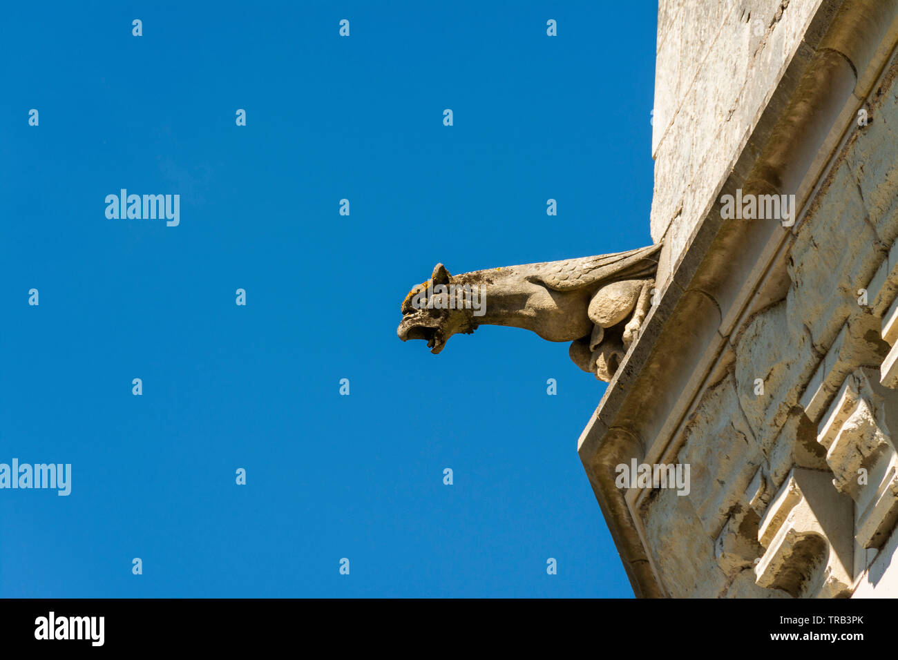 Wasserspeier von Ambroise schloss, Tal der Loire, Indre-et-Loire Departement, Center-Val de Loire, Frankreich, Europa Stockfoto