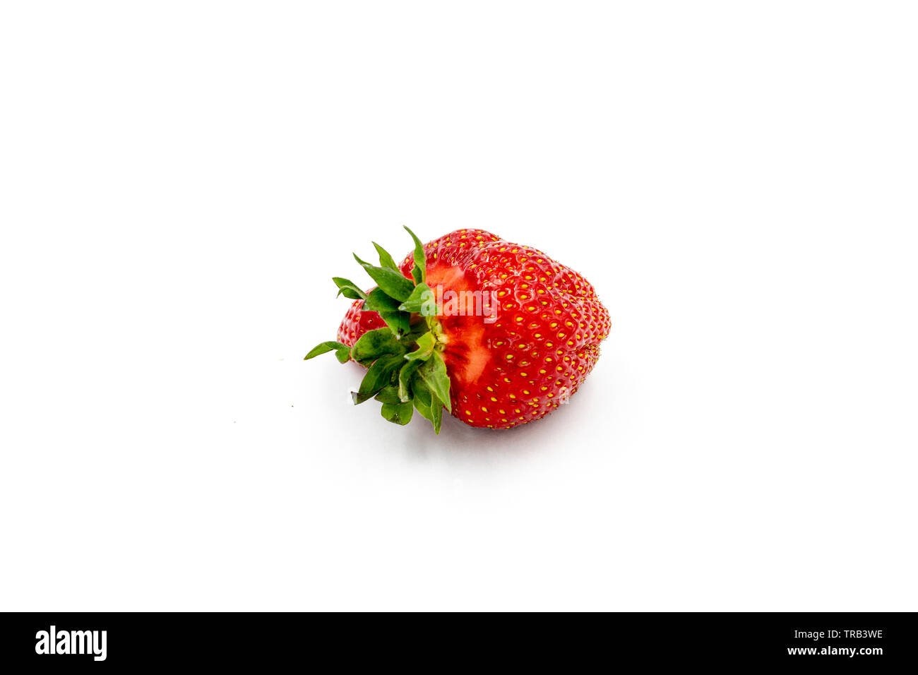 Erdbeere isoliert auf weißem Hintergrund. Frische rote Frucht Nahaufnahme. Saftige leckere Beere Makro. Köstliche Bio Erdbeere zum Dessert. Vivivd lebendige Co Stockfoto