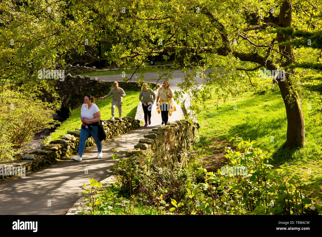 Nordirland, Co Down, Bryansford, Tollymore Forest Park, Familie zu Fuß durch angelegten Parklandschaft Stockfoto