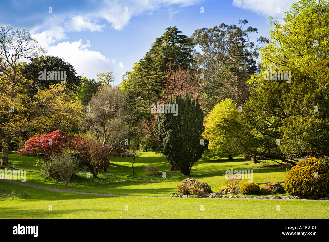 Nordirland, Co Down, Bryansford, Tollymore Forest Park, angelegten Parklandschaft Stockfoto