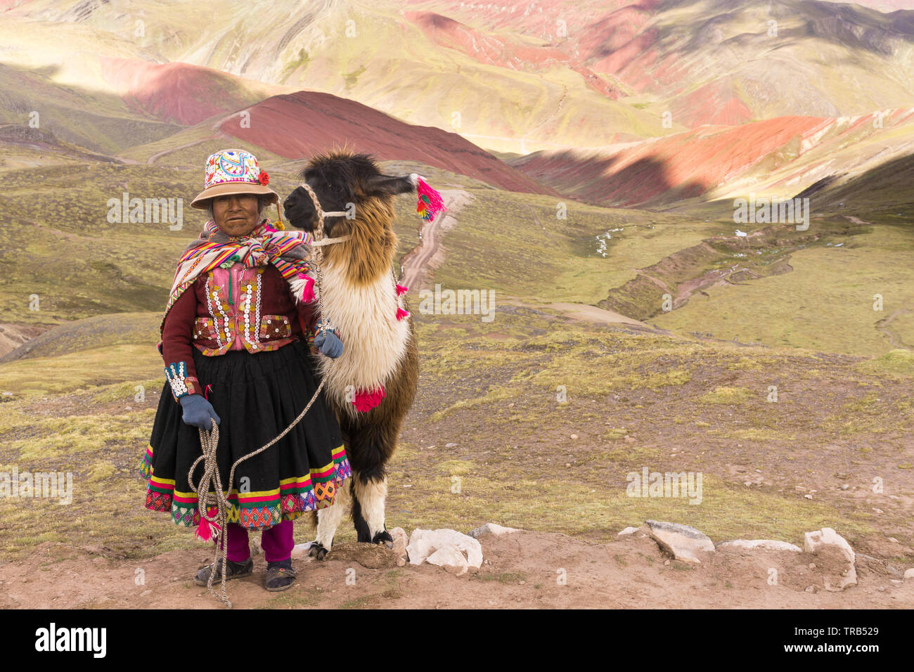 Peru indigenen Quechua Quechua - ältere Frau mit ihrem Lama posiert für ein Foto am Palccoyo Berg in Peru, Südamerika. Stockfoto