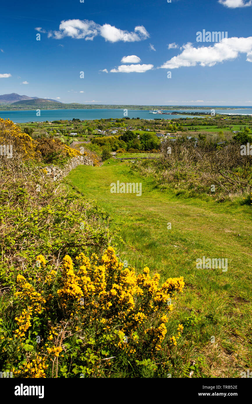 Irland, Co Louth, Halbinsel Cooley, Rooskey, Green Lane durch verlassene Dorf oberhalb von Carlingford Lough mit Blick auf die Mourne Mountains Stockfoto