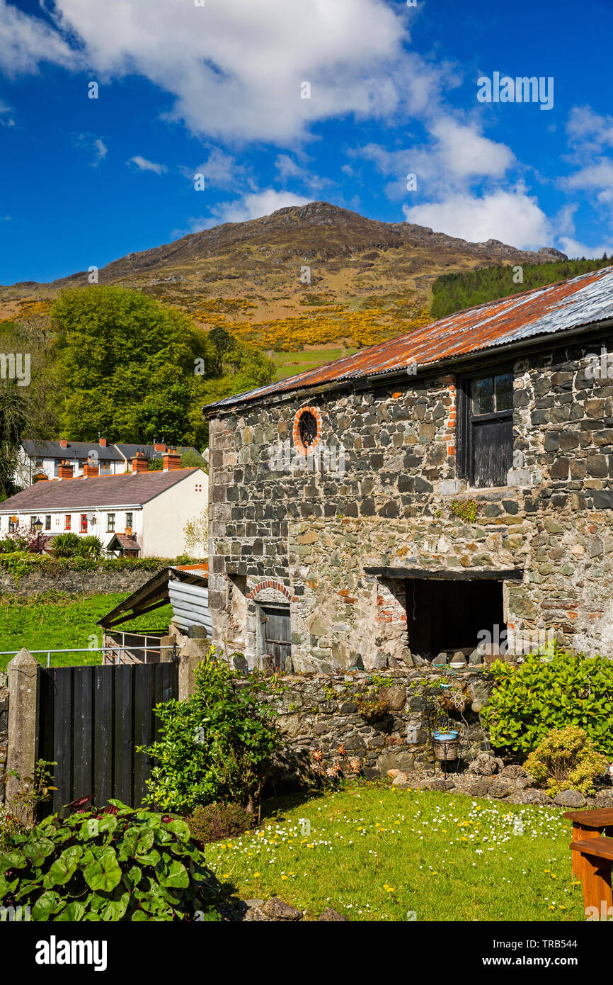 Irland, Louth, Carlingford, Dundalk Street, attraktiven alten Cottage Garten, mit Slieve Foye Berg hinter Stockfoto