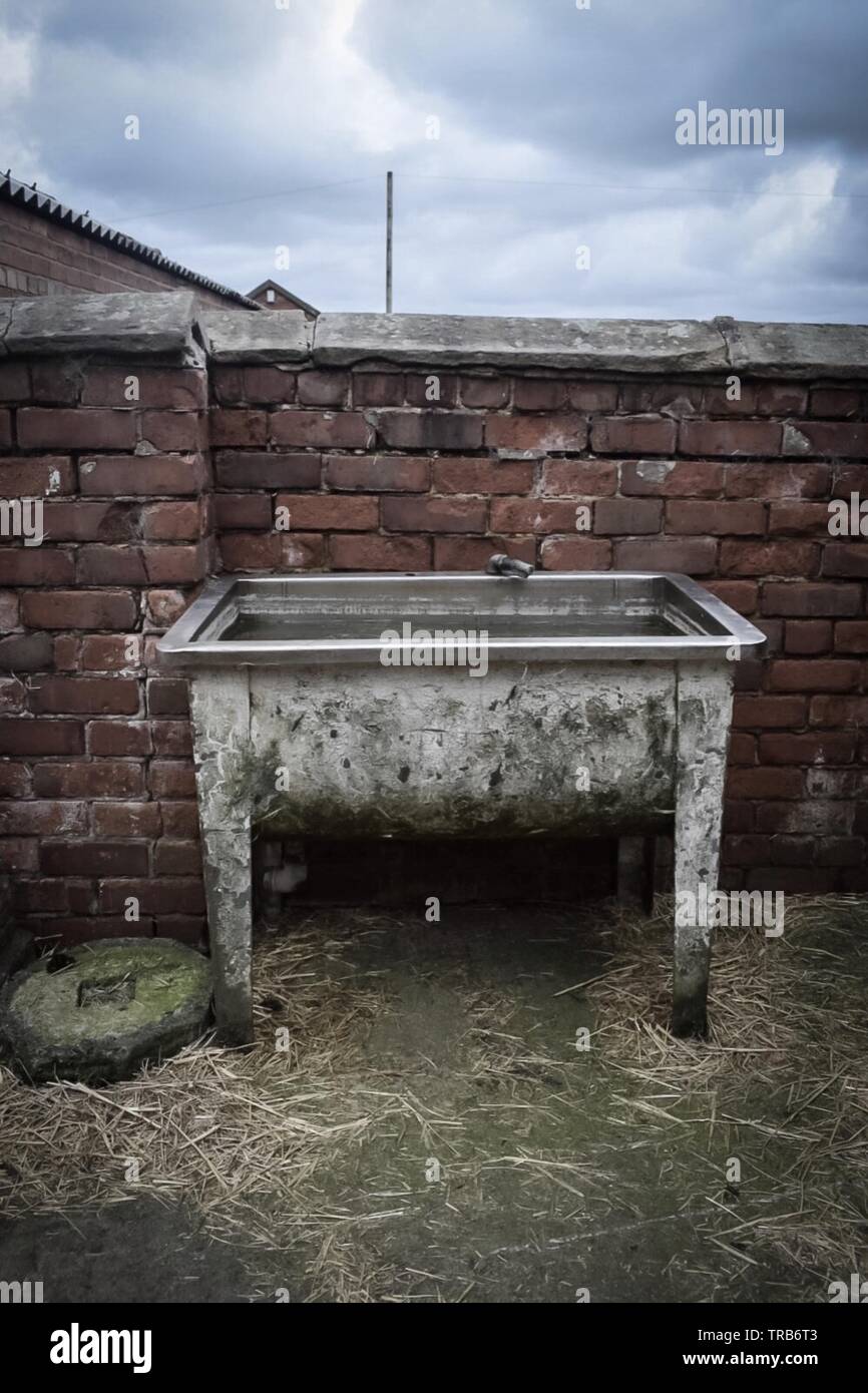Wassertrog auf der Farm Stockfoto