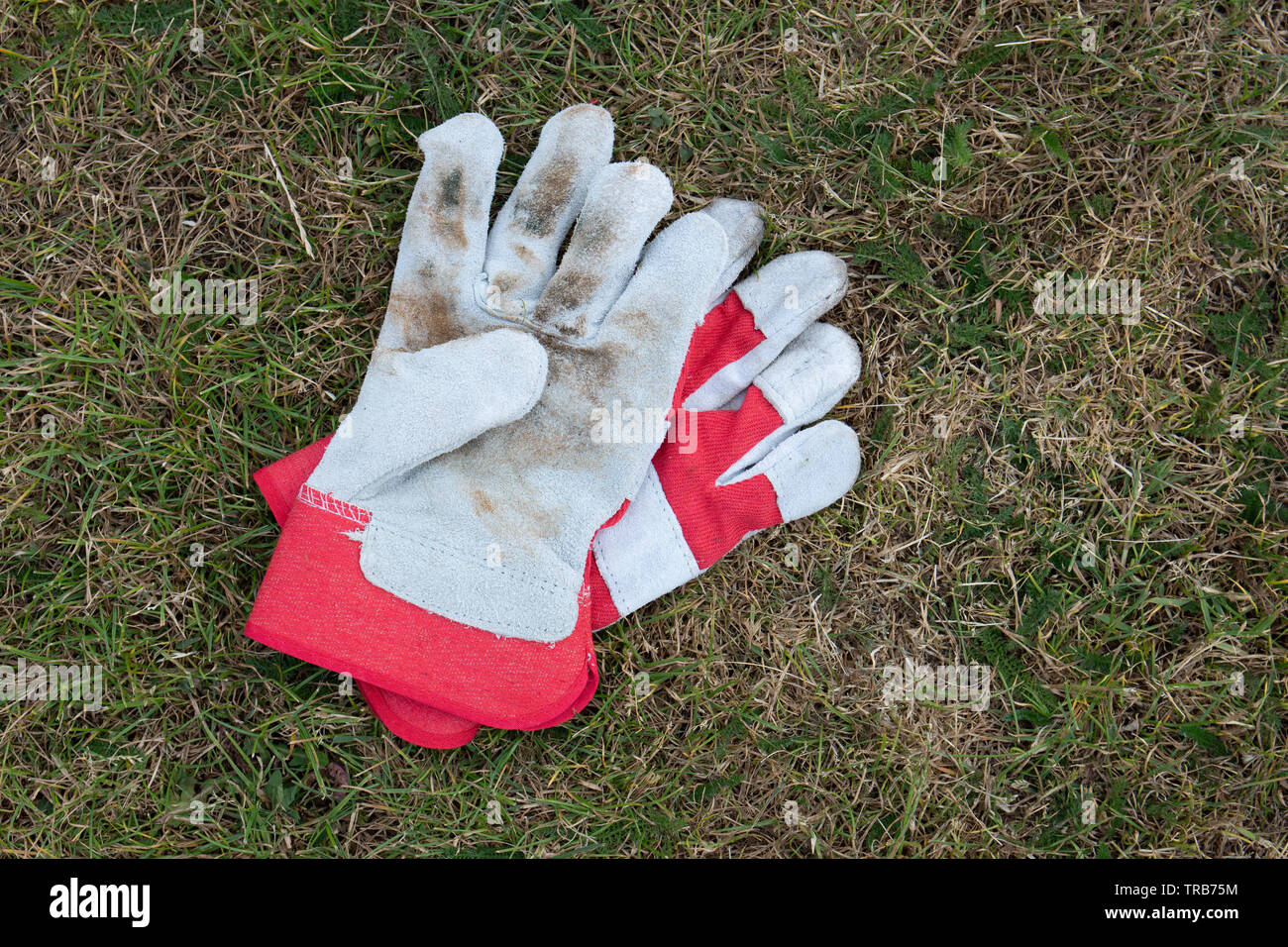 Warsash, Hampshire, England - 2.Juni 2019: Footprint South Go Green für Lokale Strand sauber Stockfoto