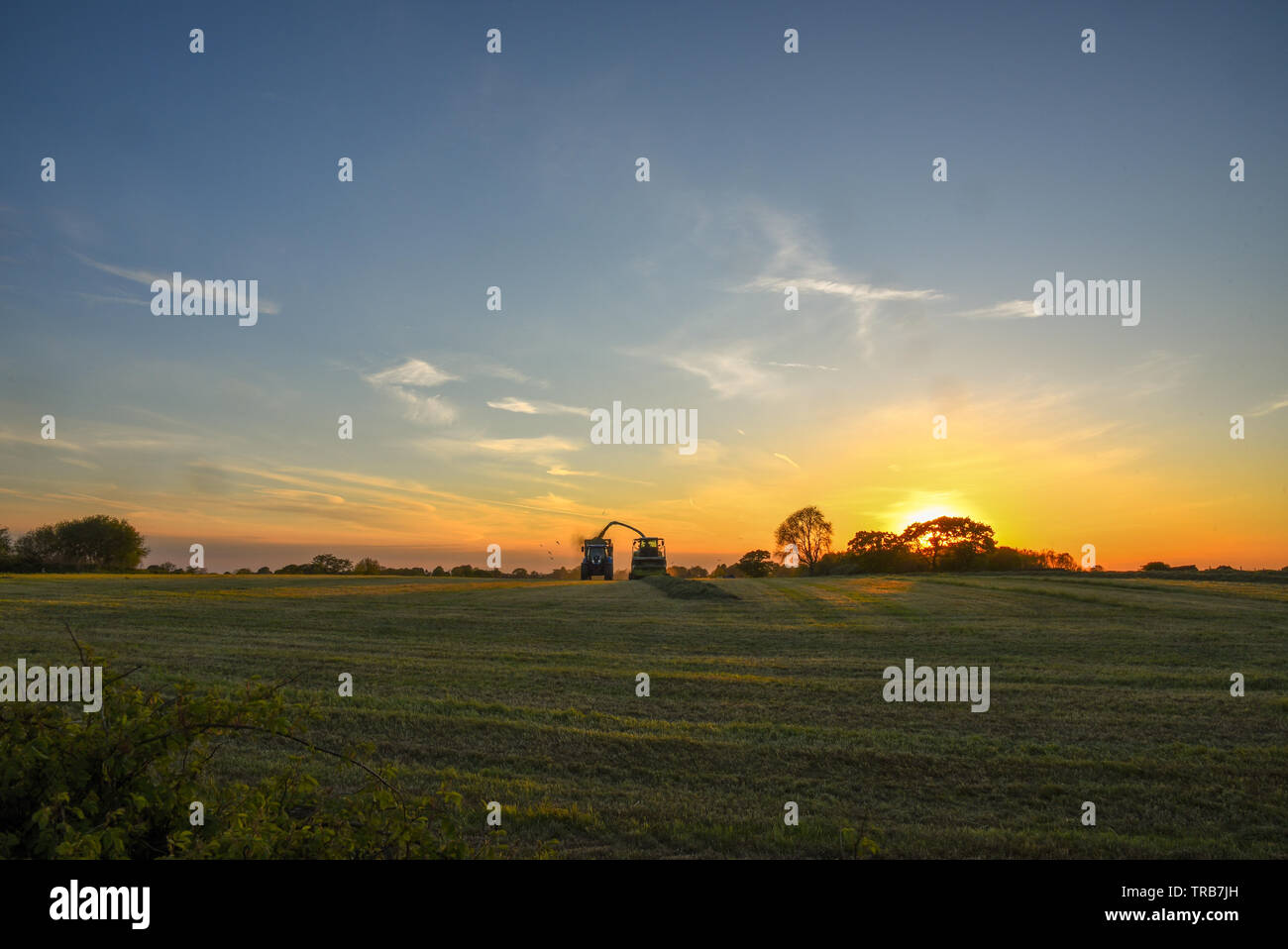 Silage Zeit im Tal Stockfoto