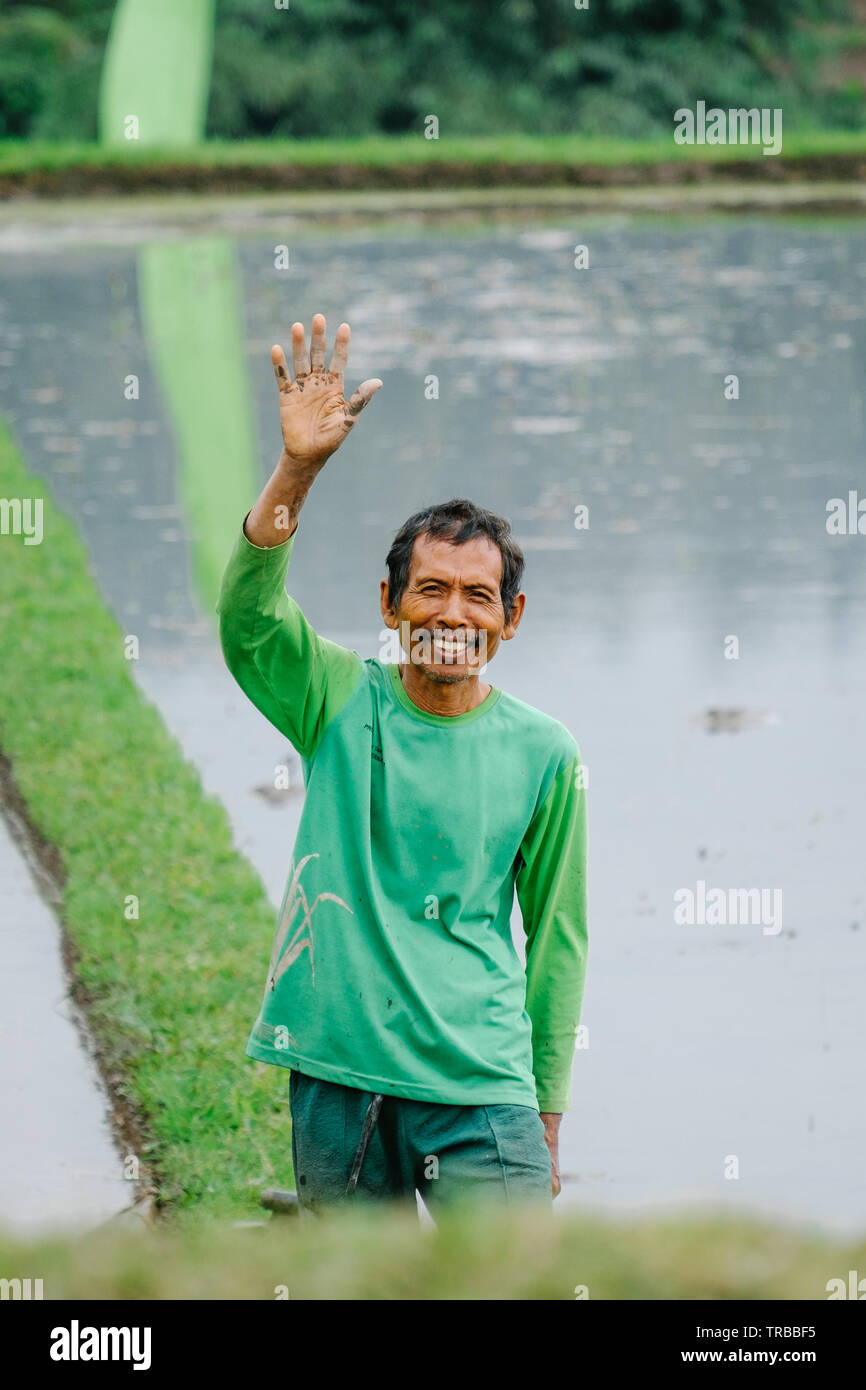 Eine Welle von einer sehr freundliche balinesische Reisbauern bei Jatiluwih Reis Terrassen, Bali, Indonesien Stockfoto