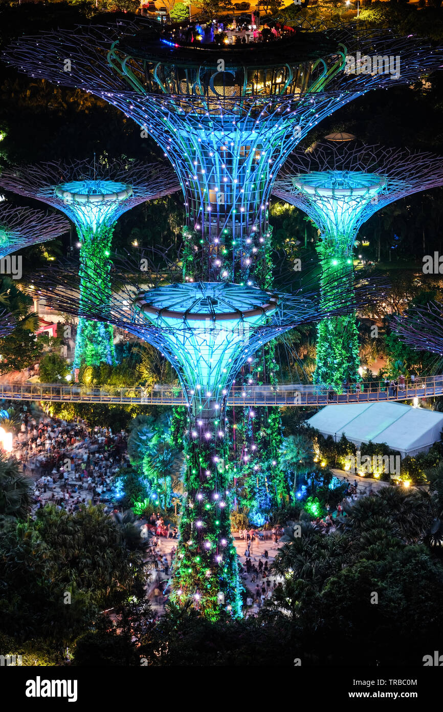 Die Supertree Grove in Gärten an der Bucht in der Nacht als von der Marina Bay Sands Hotel, Singapur gesehen Stockfoto