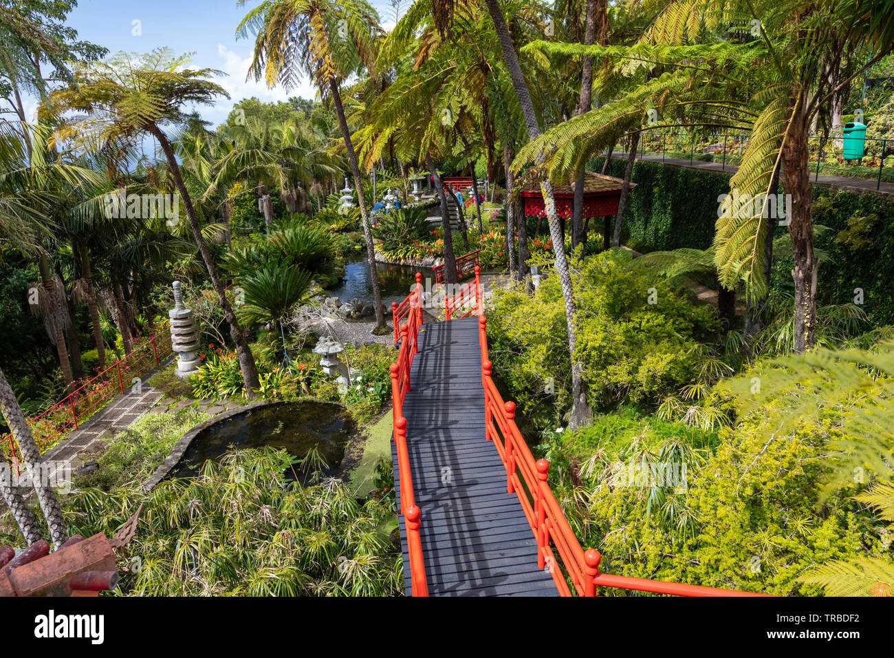 Japanischer Garten, Botanical Gardens, Funchal, Madeira Stockfoto