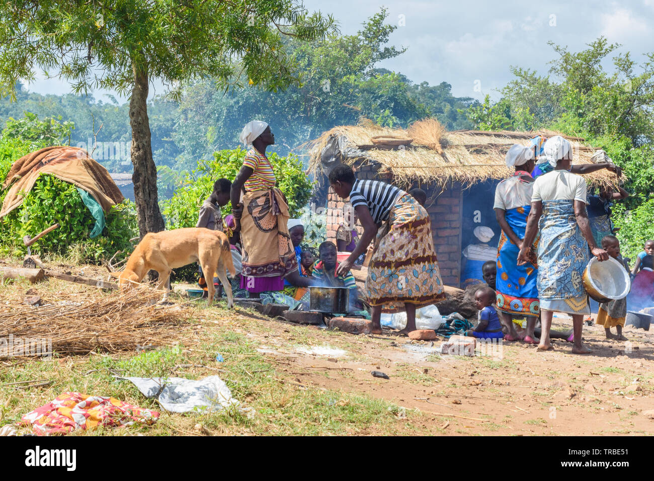Frauen kochen nsima oder Mais porridge auf offenem Feuer in einem Malawischen Dorf Stockfoto
