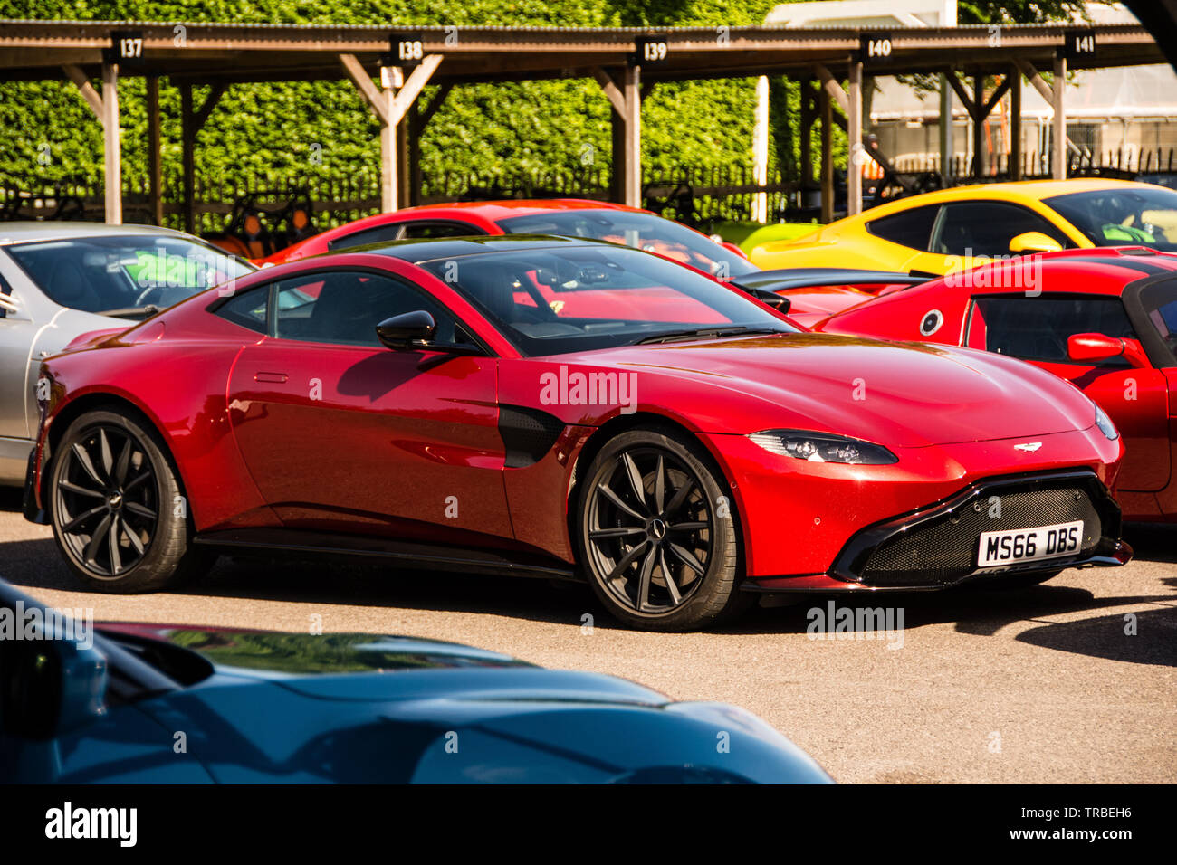 Aston Martin DB 10 in der Koppel in Goodwood Stockfoto