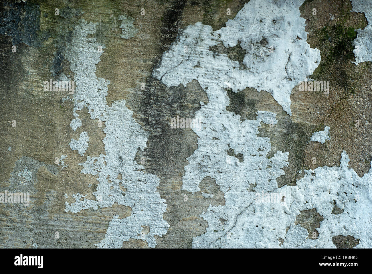 Moosige Texturierte verwitterte Betonmauer Stockfoto