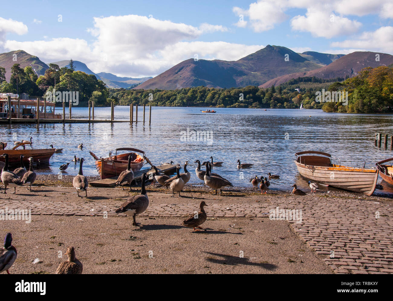 Derwentwater im Nationalpark Lake District, Cumbria, England, die den See, Fells, Touristen, Enten, Boote und den Start bereich Stockfoto