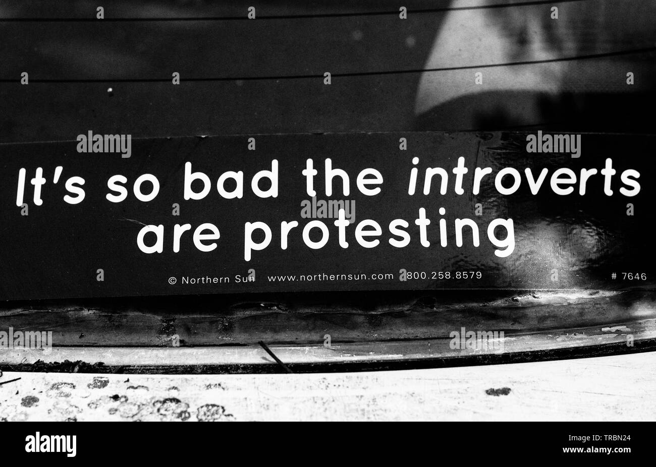 Eine Stoßstange Stick auf einem Auto liest: "Es ist so schlecht das Introvertierte protestieren." Stockfoto