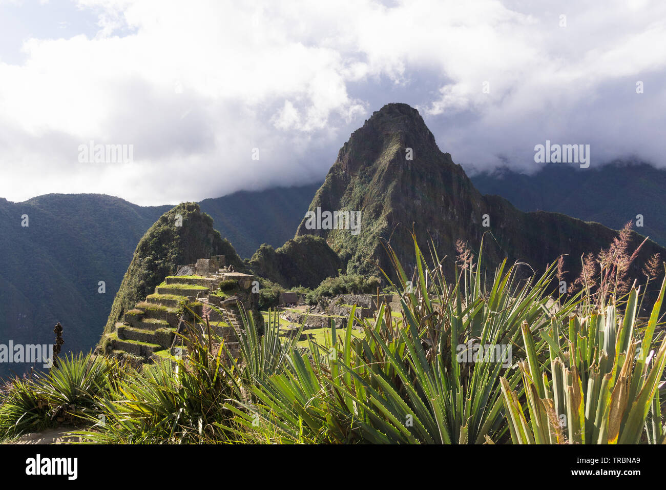 Machu Picchu Peru - der Huayna Picchu Berg ist das Wahrzeichen Peak bei Zitadelle Machu Picchu in Peru, Südamerika. Stockfoto