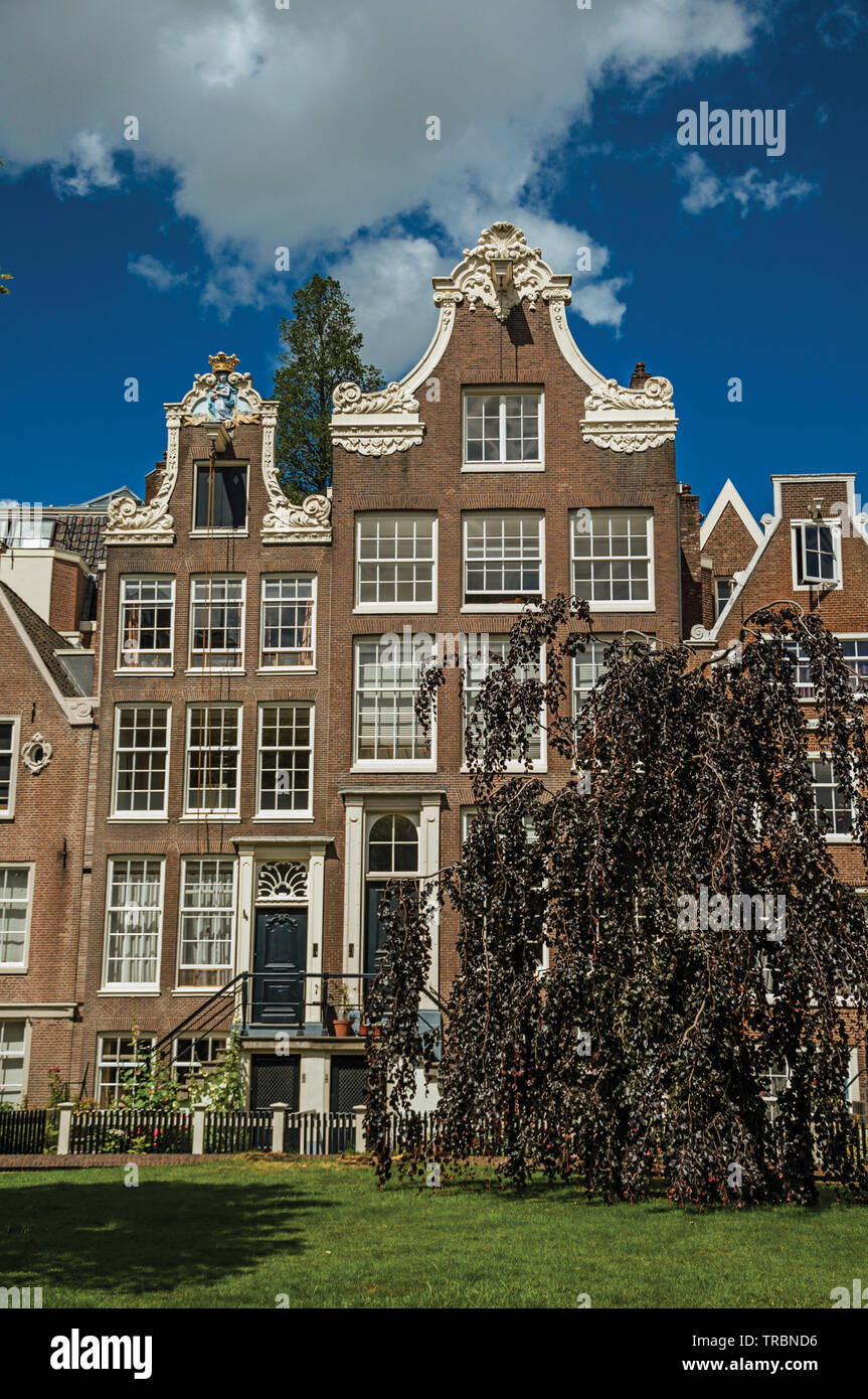 Typische Häuser und grünen Garten des Begijnhof, einem mittelalterlichen Gemeinschaft in Amsterdam. Stadt mit riesigen kulturelle Aktivität, Kanäle und Brücken in den Niederlanden. Stockfoto