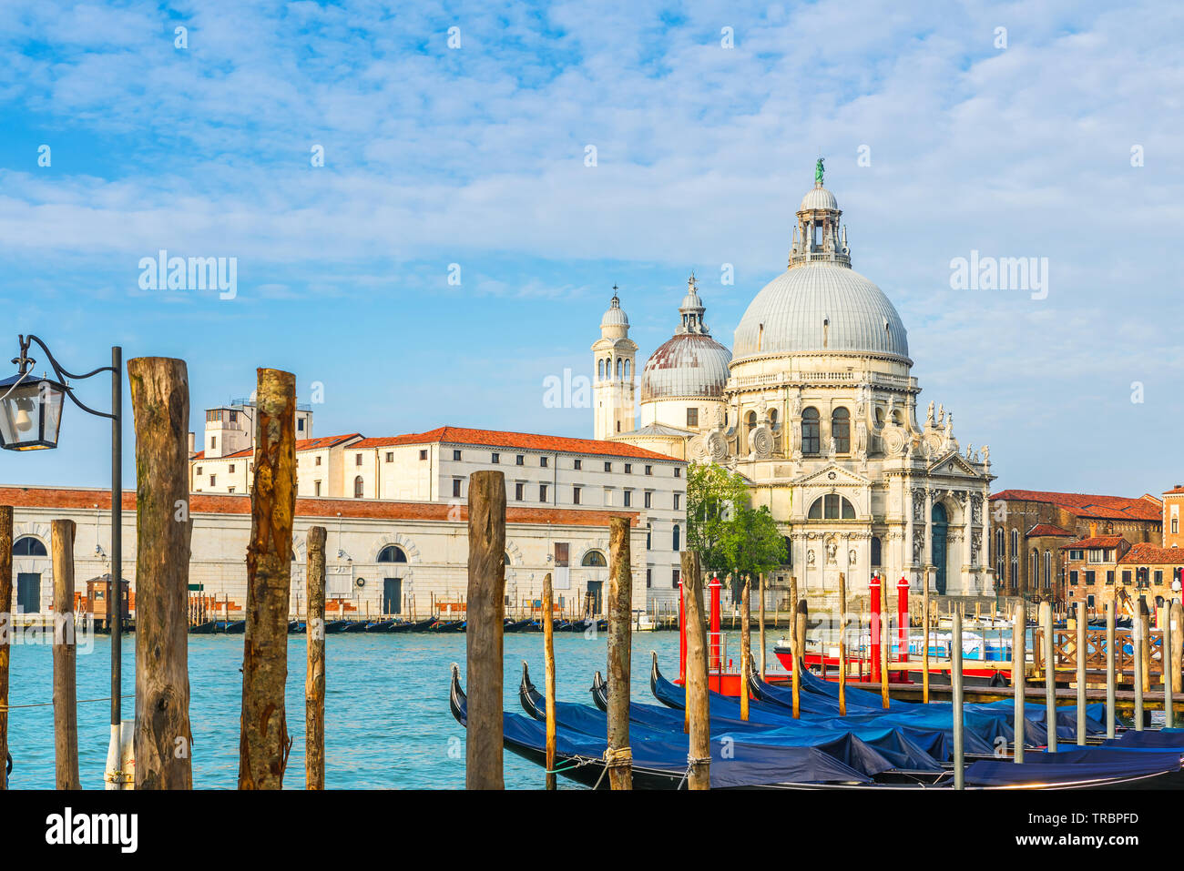 Schöne Aussicht auf den Canal Grande mit historischen Basilika di Santa Maria della Salute im Hintergrund und Gondeln an einem sonnigen Tag in Venedig, Italien Stockfoto