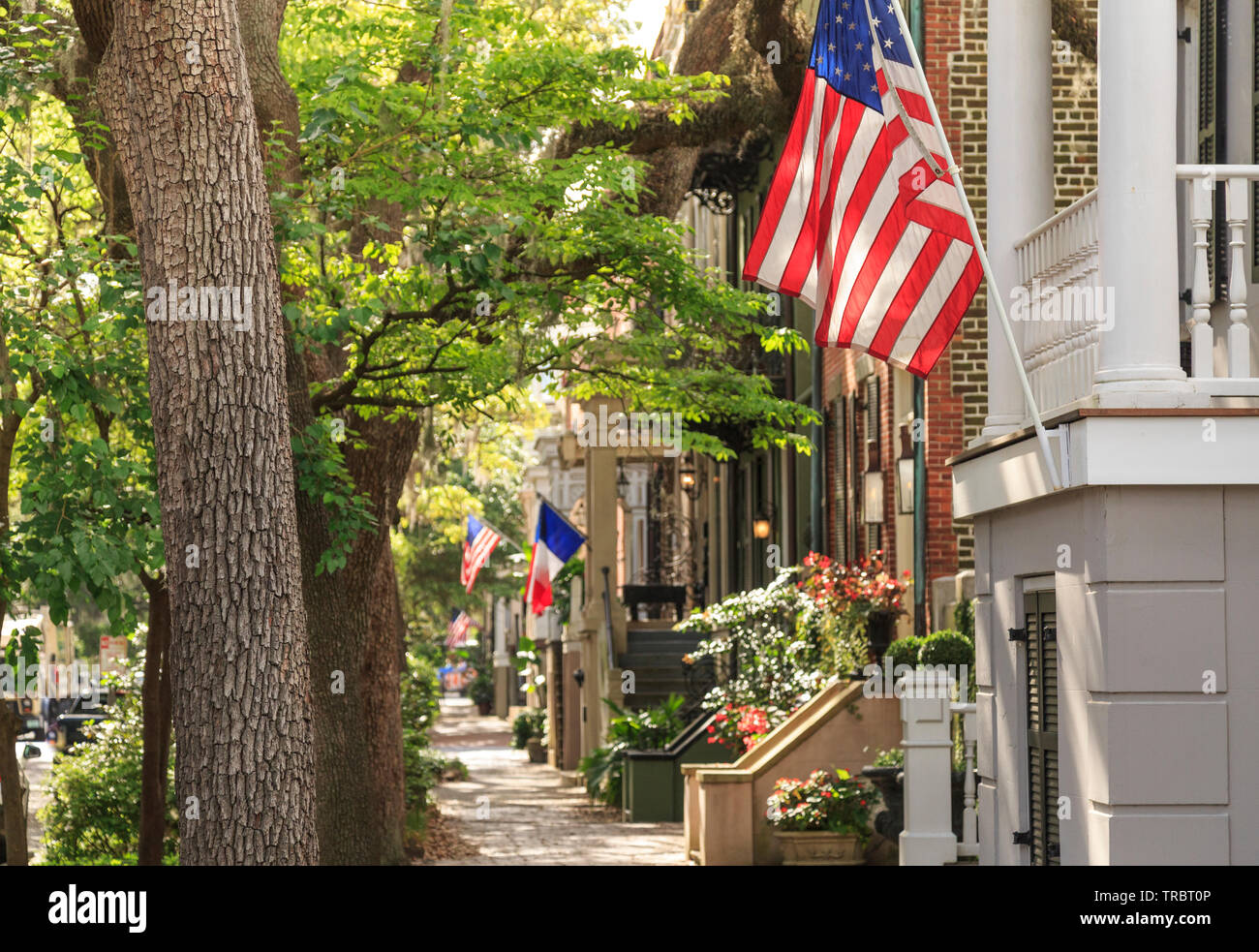 Historische Bezirk Straße, gesäumt mit Zeile Wohnungen im Frühjahr, Savannah, Georgia Stockfoto