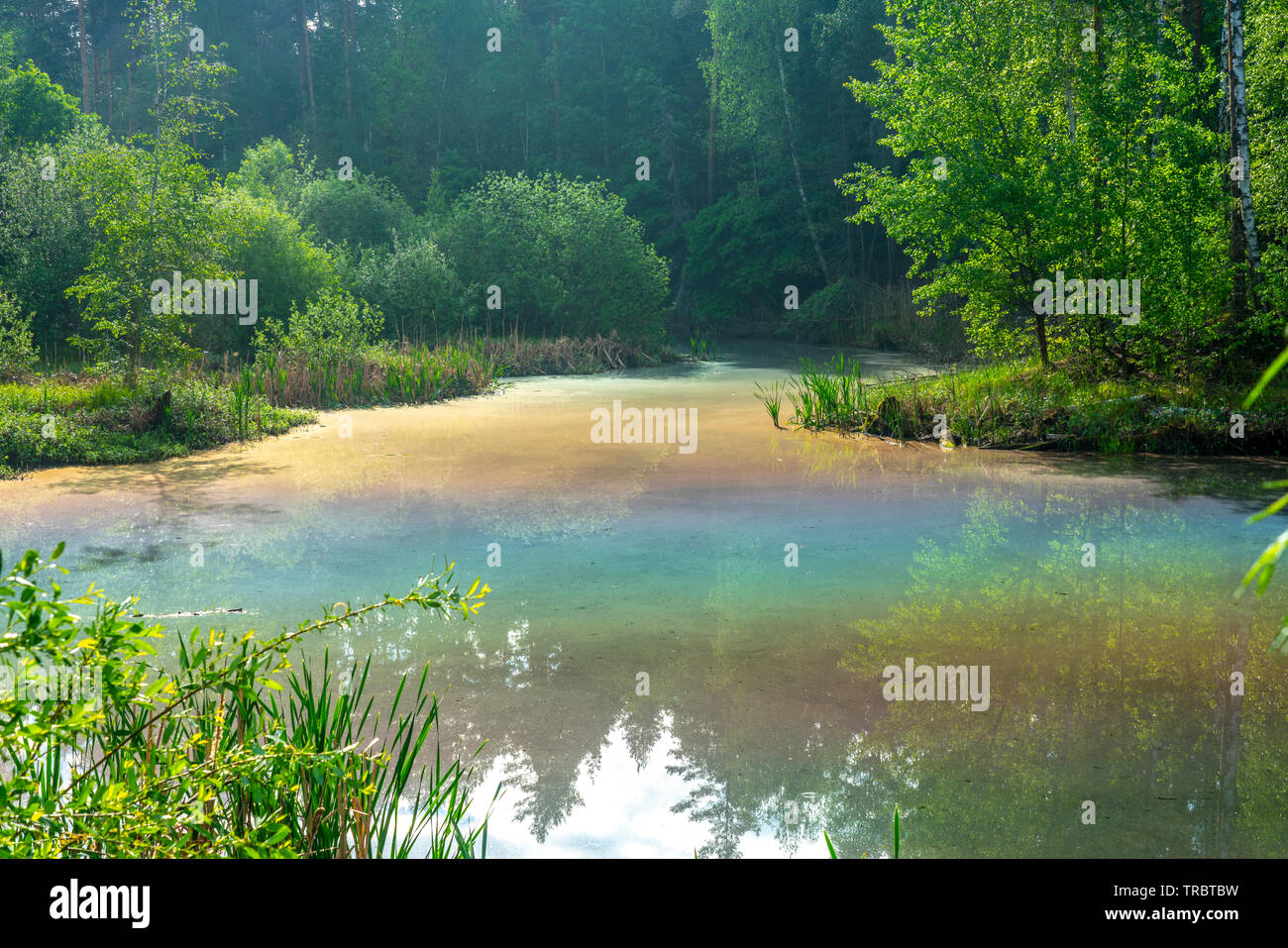 Ein einzigartiges Phänomen, die Strahlen der Sonne von der Oberfläche der See form Regenbogen auf der Oberfläche des Wassers nieder. Stockfoto