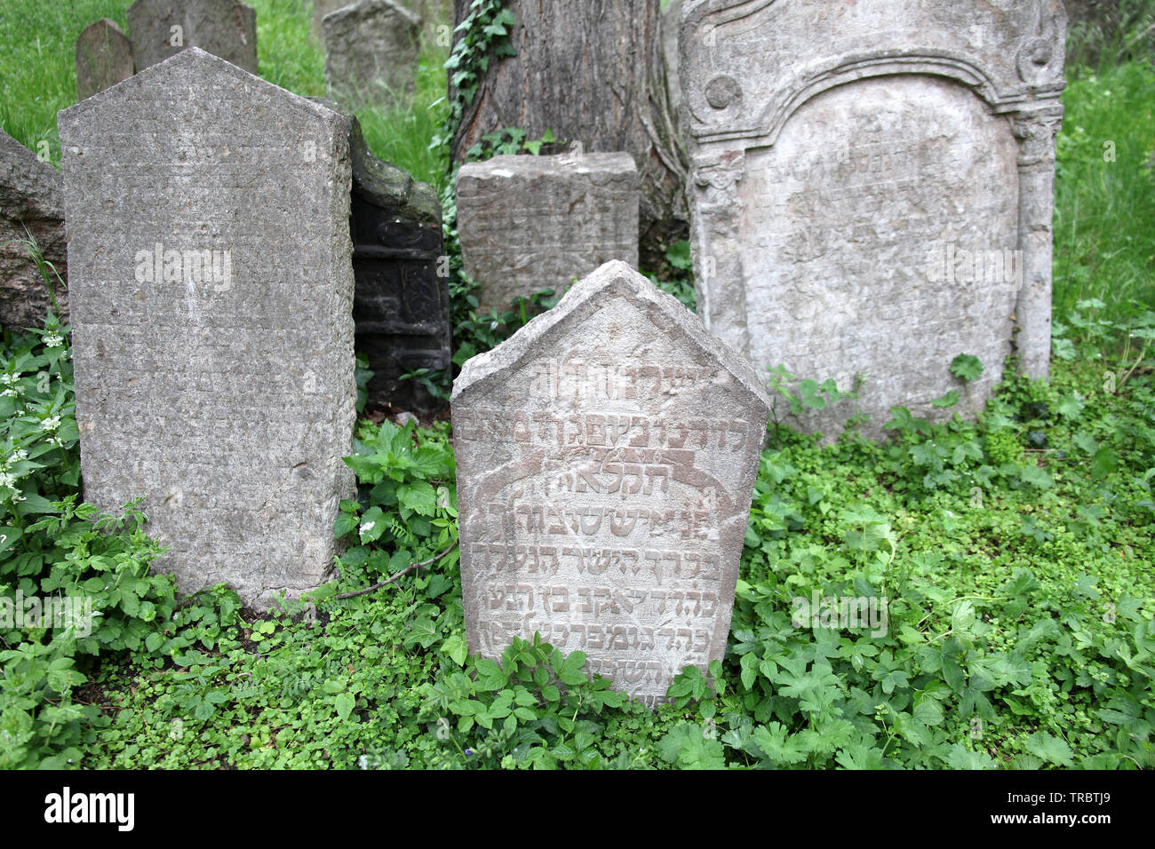 Gräber auf dem alten jüdischen Friedhof in Prag Stockfoto