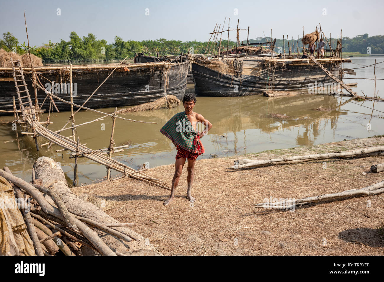 Reisstroh wird geerntet und auf Booten in der geladen Fluss in Bangladesch Stockfoto