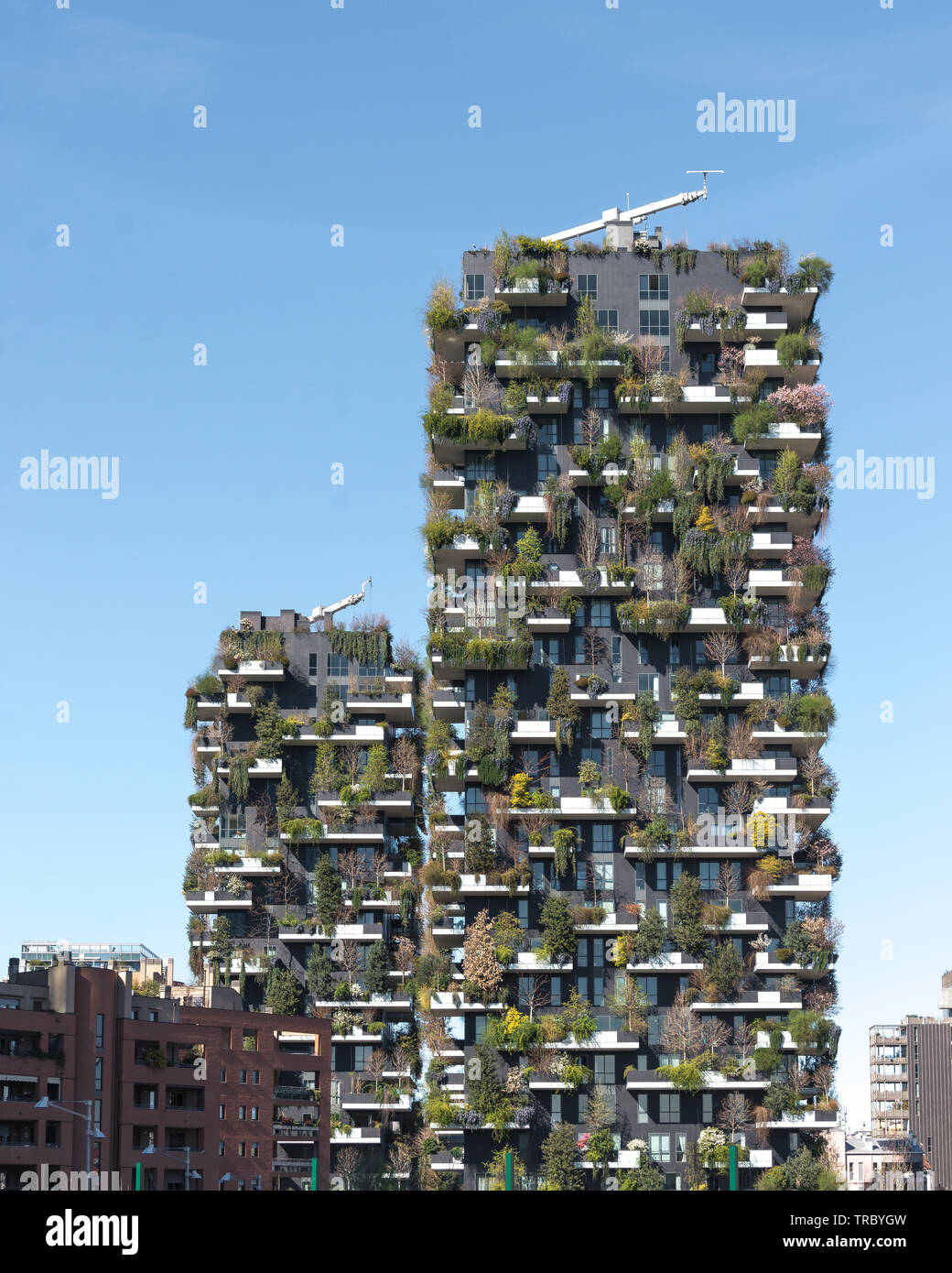 Green-building Stockfoto