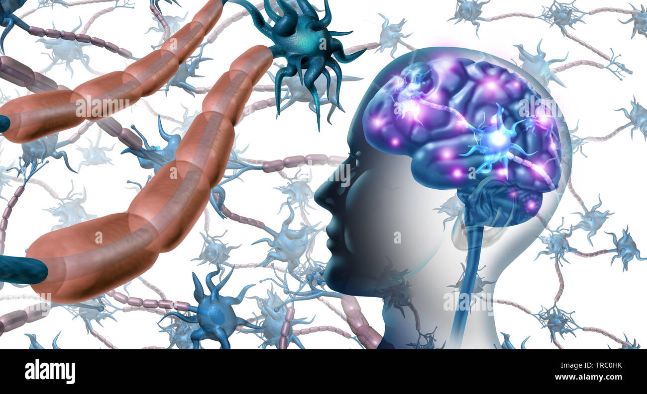 Die Nervenzellen im Gehirn und Nervensystem Anatomie Konzept als die menschliche Neurologie und Neuron Funktionsstörung Symbol für Multiple Sklerose. Stockfoto