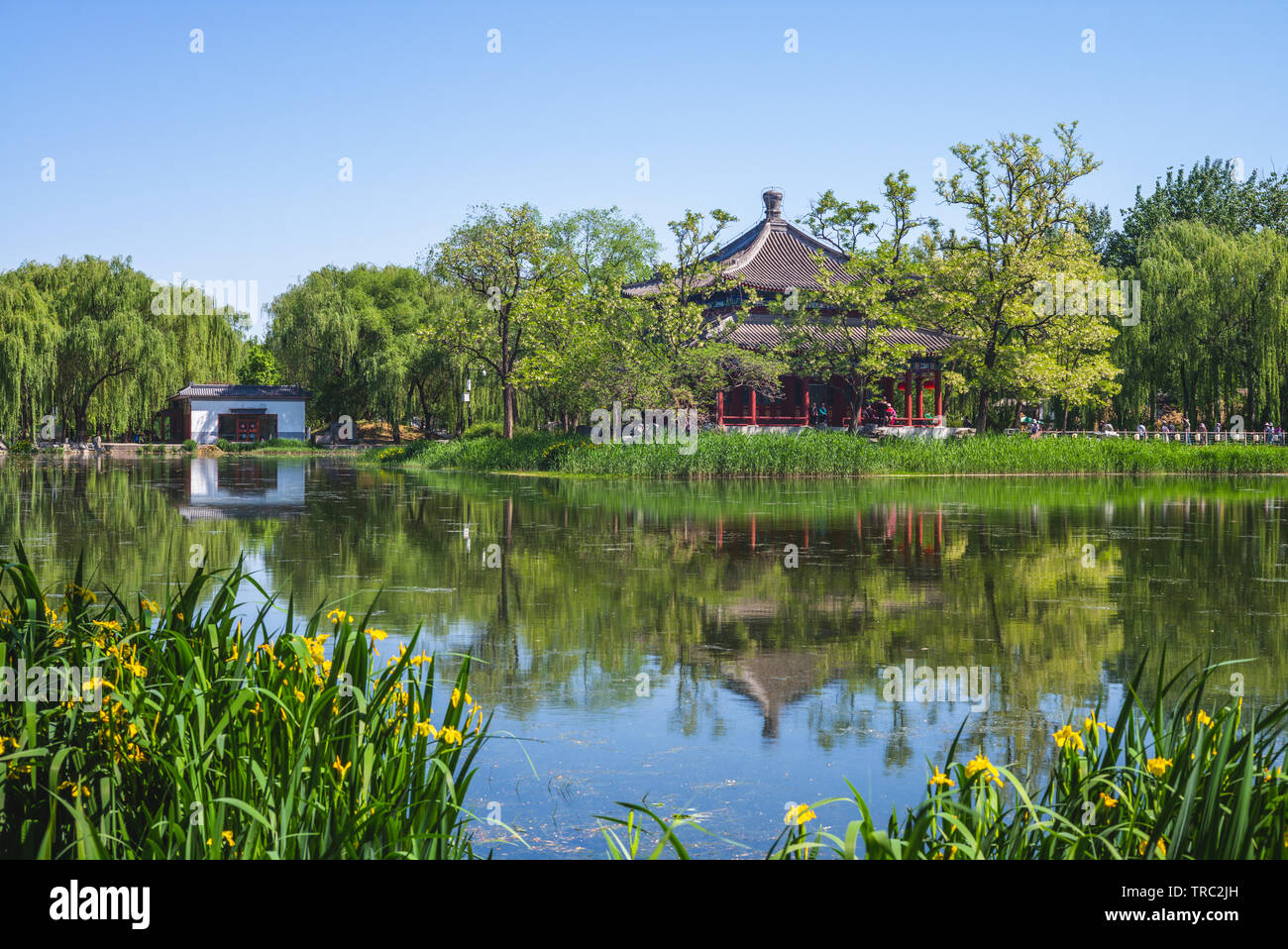 Reflektiere den sommer Fotos und Bildmaterial in hoher Auflösung Alamy