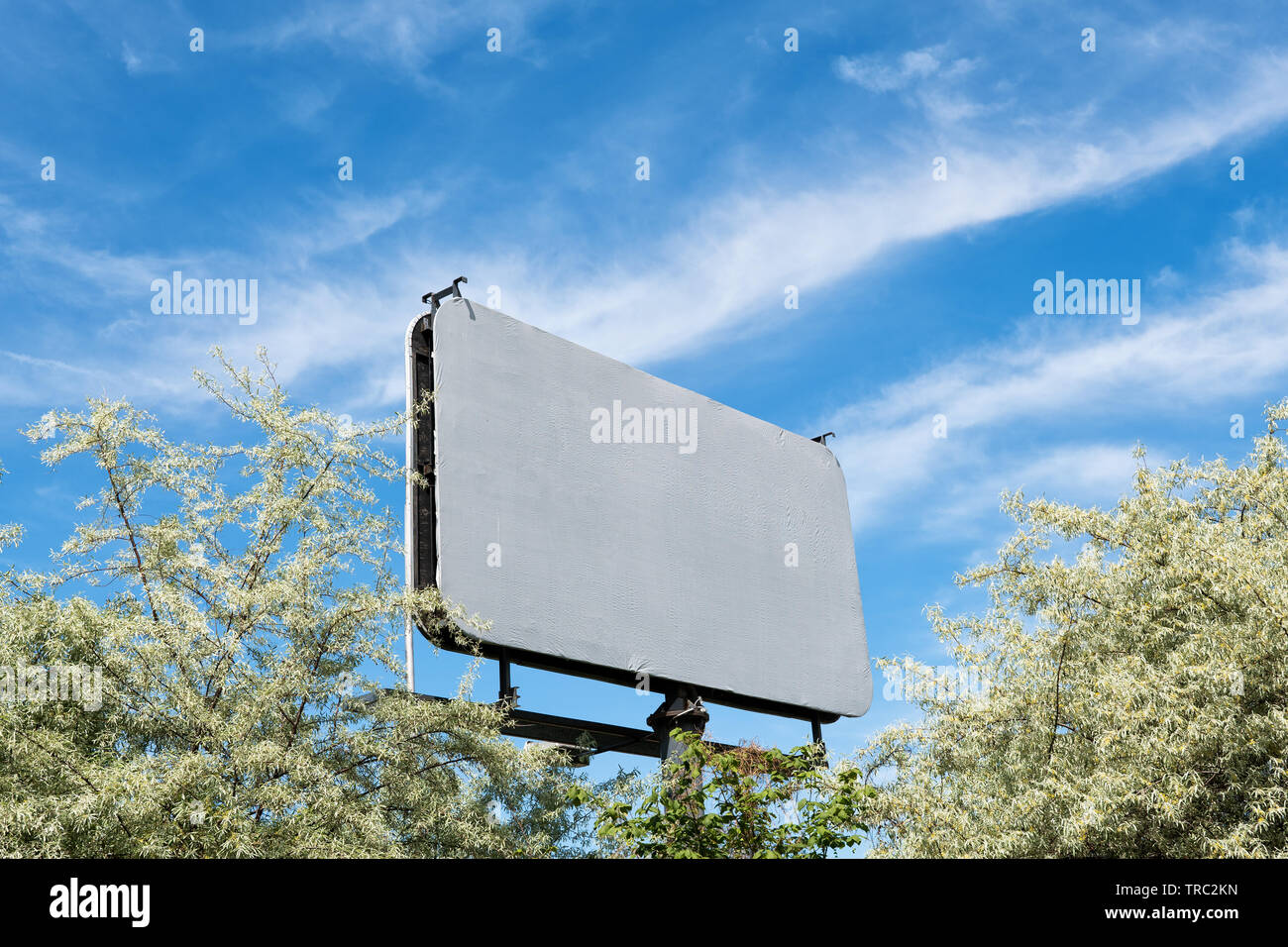 Leere plakatwand Leinwand mit Kopie Raum für Werbung, mockup Hintergrund gegen den blauen Himmel, von den Bäumen. Stockfoto