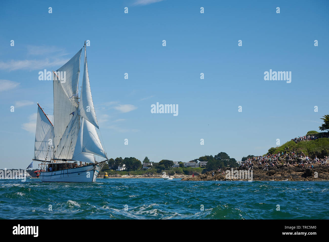 La grande Parade de La Semaine du Golfe 2019, dans le Golfe du Morbihan. - Die große Parade der Woche der Golf 2019, in den Golf von Morbihan. Stockfoto