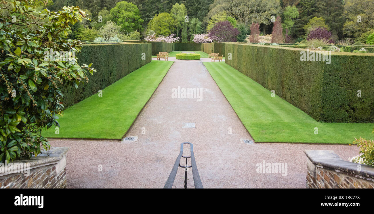 RHS Garden Rosemoor, ein Blick vom Eingang zu formalen Rasen und Hecken mit einem Hintergrund von Bäumen und Sträuchern, Stockfoto