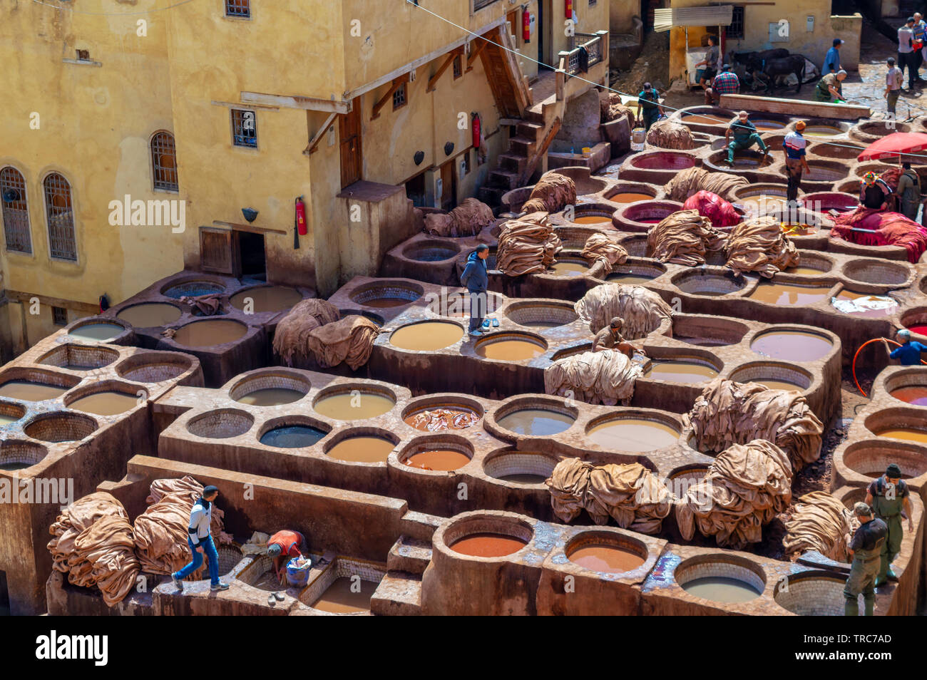 Luftaufnahme der bunten Leder Gerbereien von Fes, Marokko Stockfoto