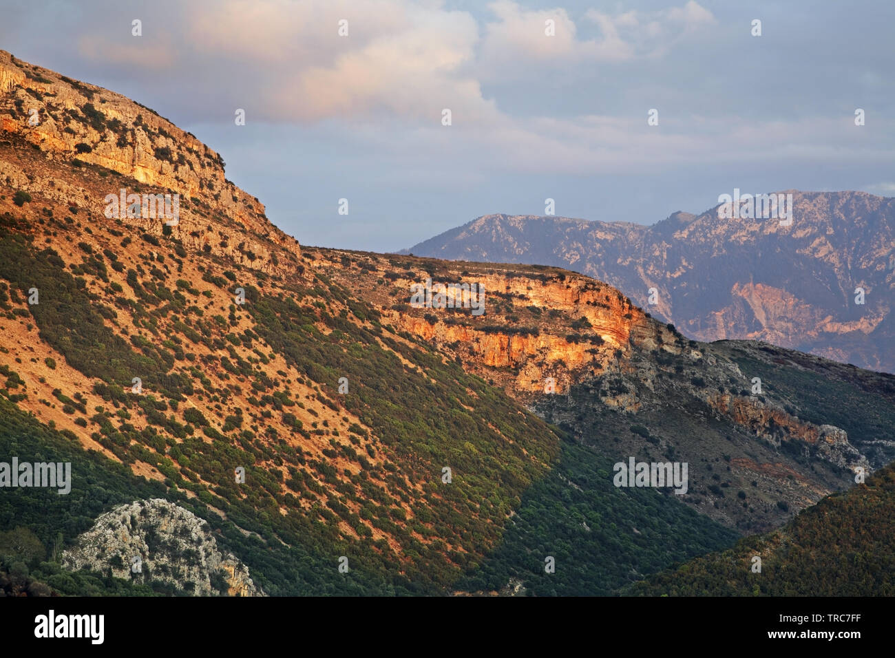 Landschaft in der Nähe von Parapotamos Igoumenitsa. Region Epirus. Griechenland Stockfoto