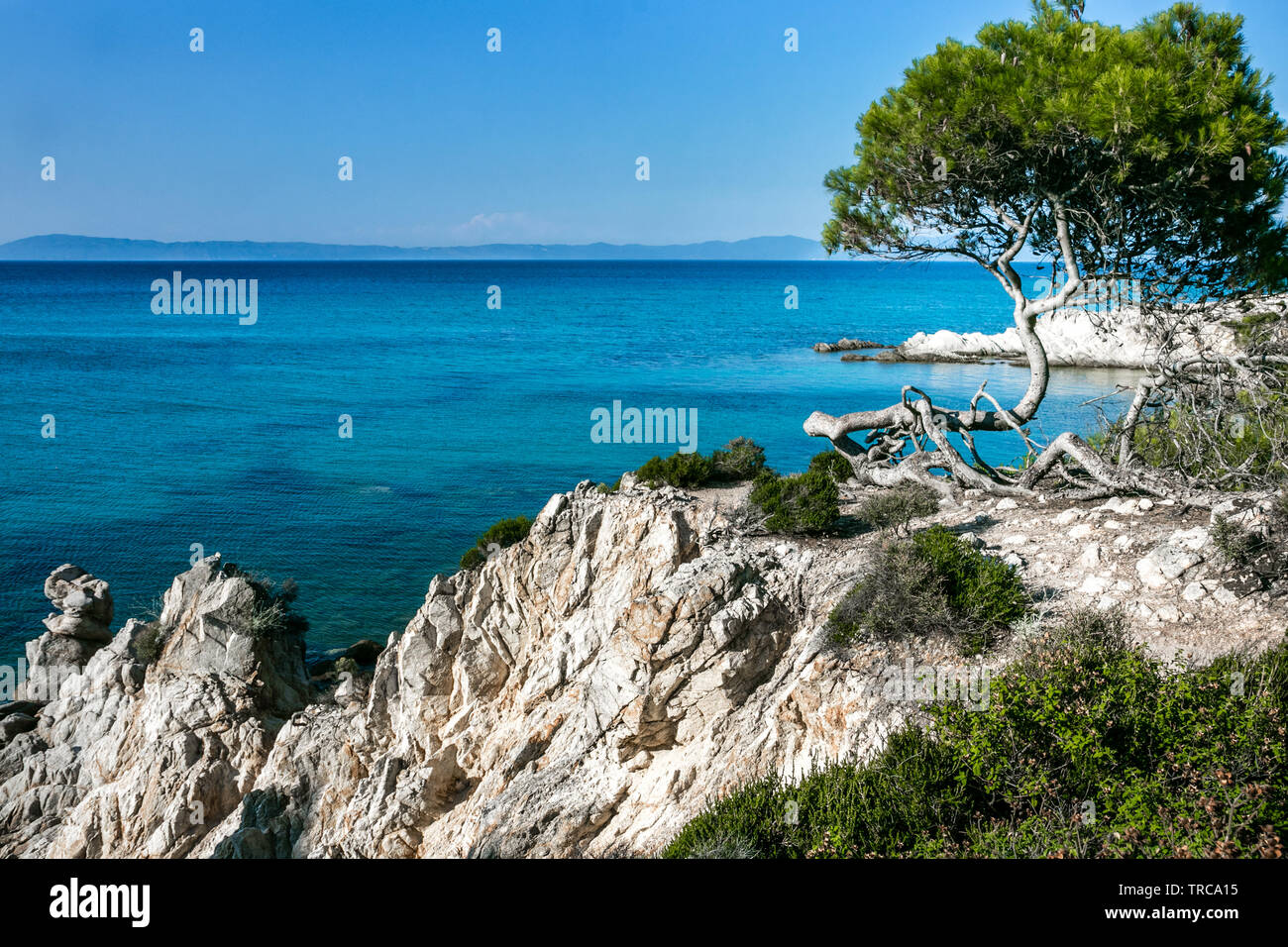 Schöne Szene mit blauen Meer in die Bucht, Himmel, Steine und mediterrane Baum auf der hellen, sonnigen Tag. Mediterrane Landschaft - Seascape. Stockfoto