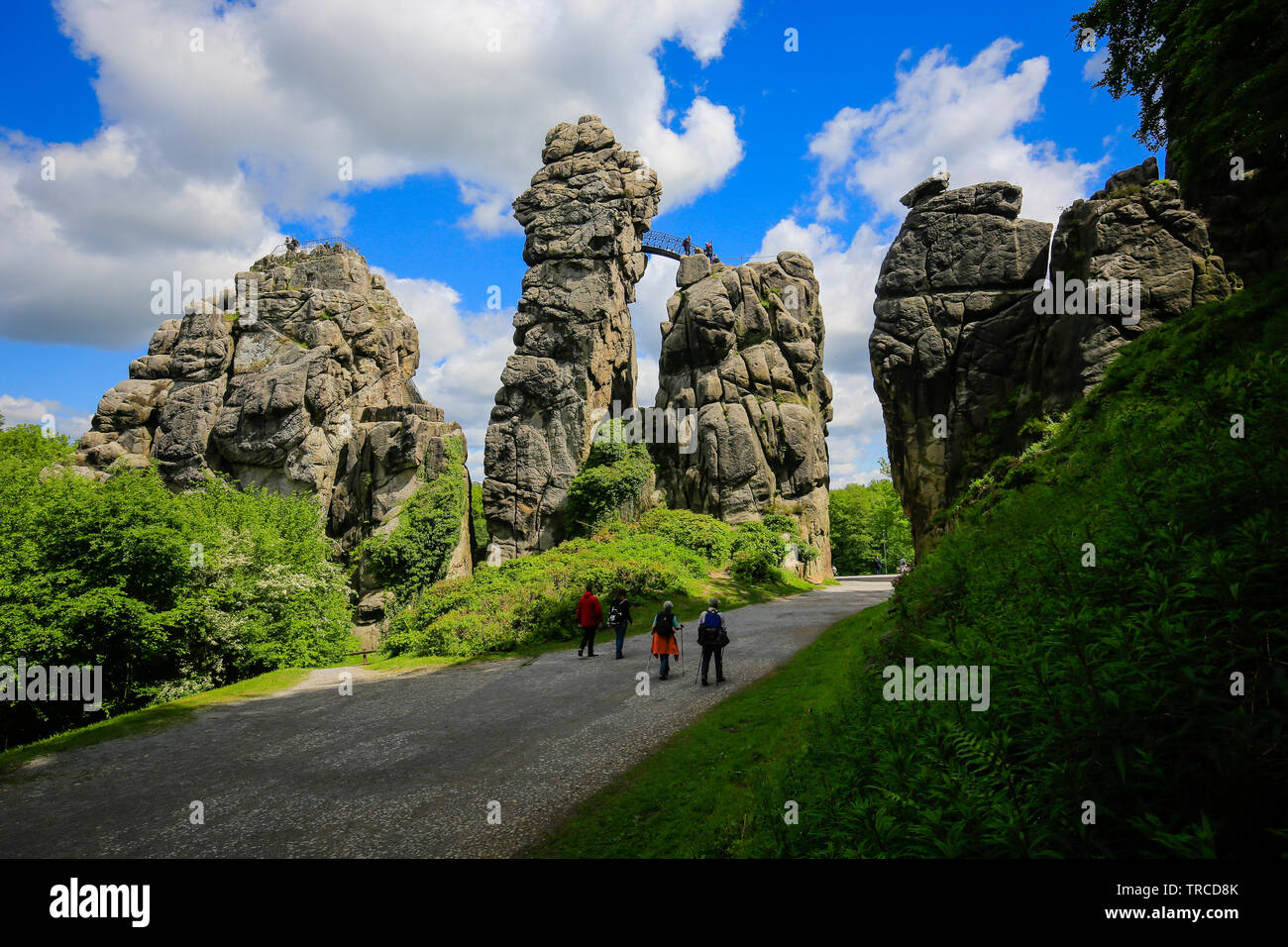 Horn-Bad Meinberg, Lipperland, Nordrhein-Westfalen, Deutschland - Externsteine, eine markante Sandstein Felsformation im Teutoburger Wald und als solche Stockfoto