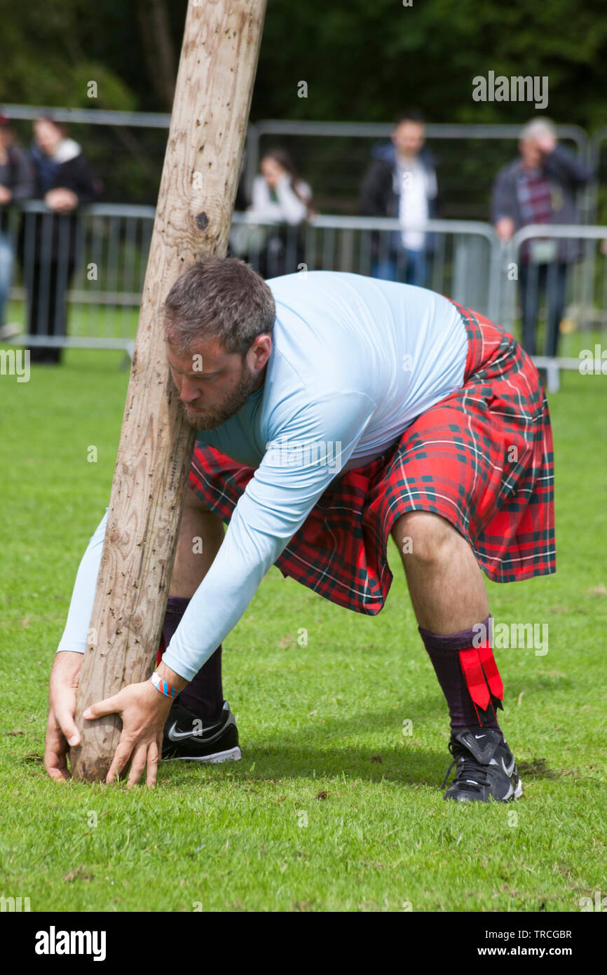 Mann warf Caber am Helensburgh und Lomond Highland Games, Argyll, Schottland Stockfoto