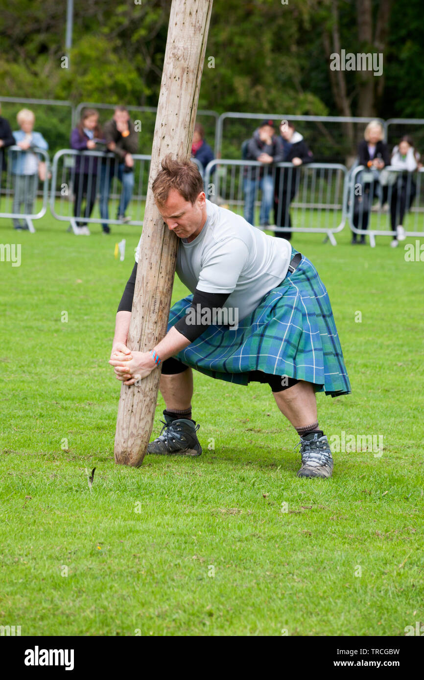 Mann warf Caber am Helensburgh und Lomond Highland Games, Argyll, Schottland Stockfoto