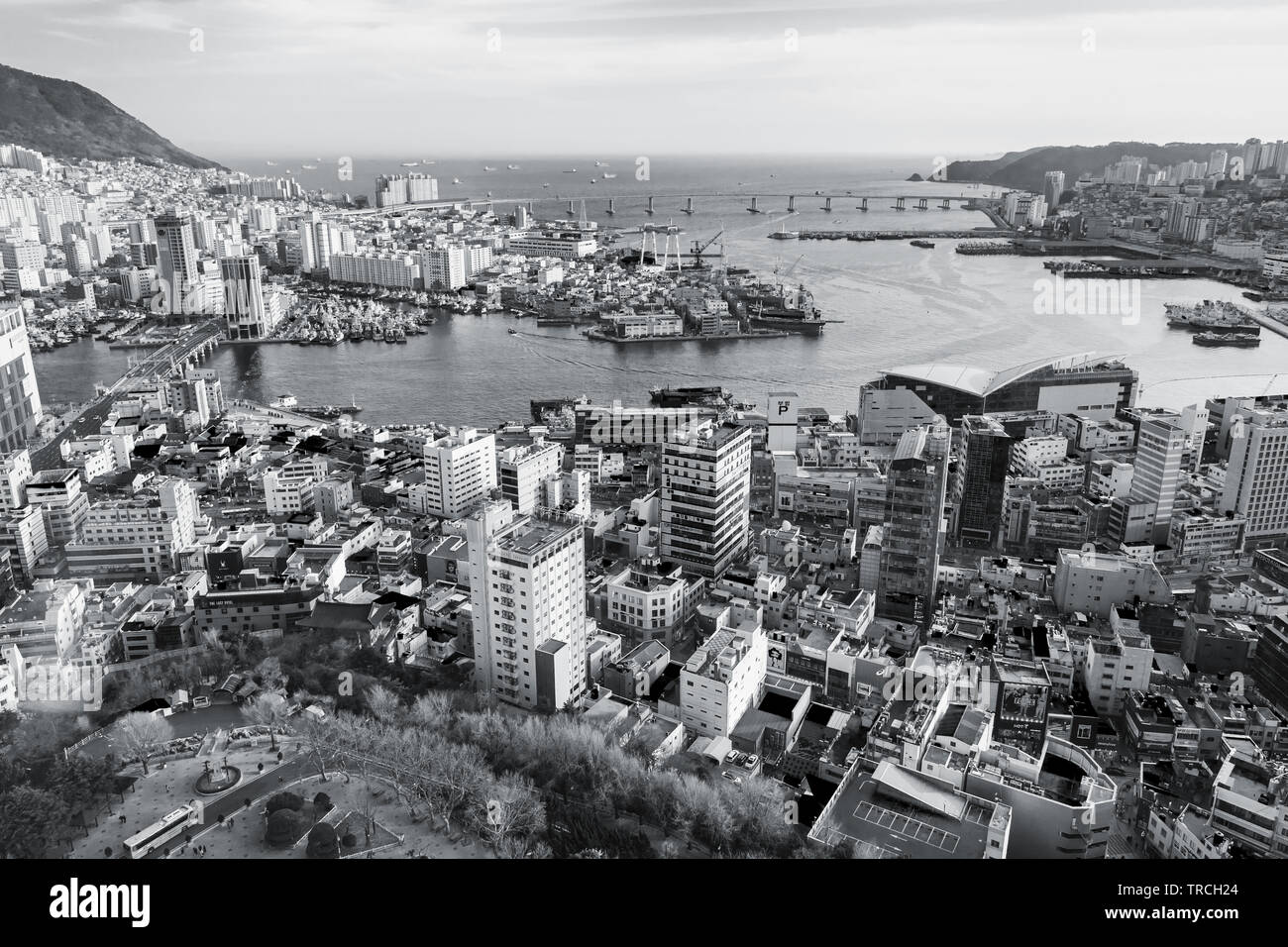 Busan, Südkorea - 14. März 2018: Monochrom Stadtbild von Busan, Vogelperspektive Stockfoto
