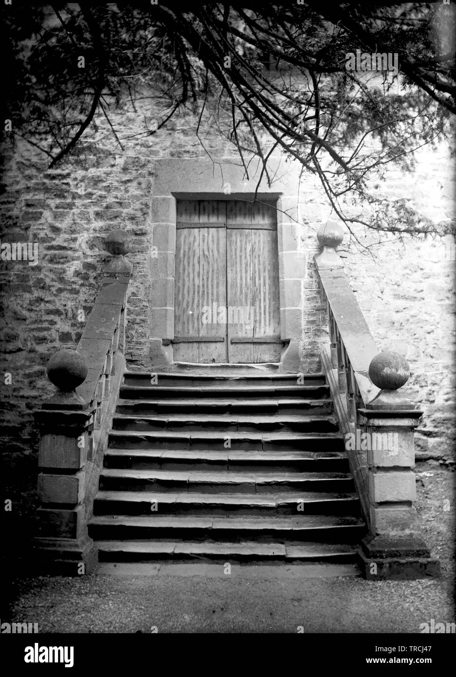 Eine Steintreppe führt zu geschlossenen Holztür, Derbyshire. Foto wahrscheinlich in den 1920er Jahren genommen. Dies ist ein Glas negative und bildeten nur eine von 102 Negative mit der Aufschrift "Crich'. Alle stehen auf Alamy und kann unter dem Stichwort 'Crich 1920s' gefunden werden. Stockfoto